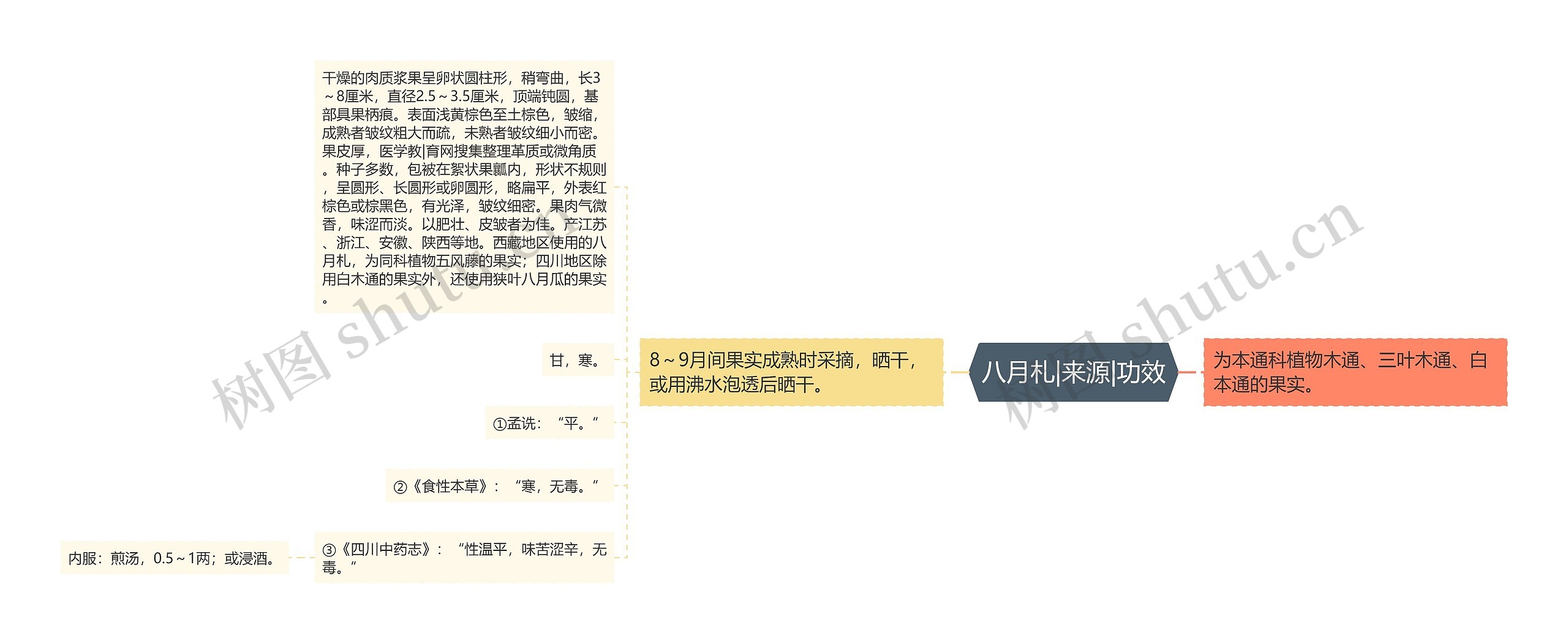 八月札|来源|功效 八月札|来源|功效