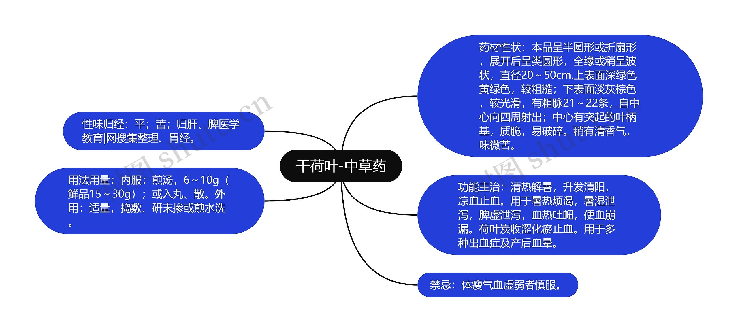 干荷叶-中草药思维导图