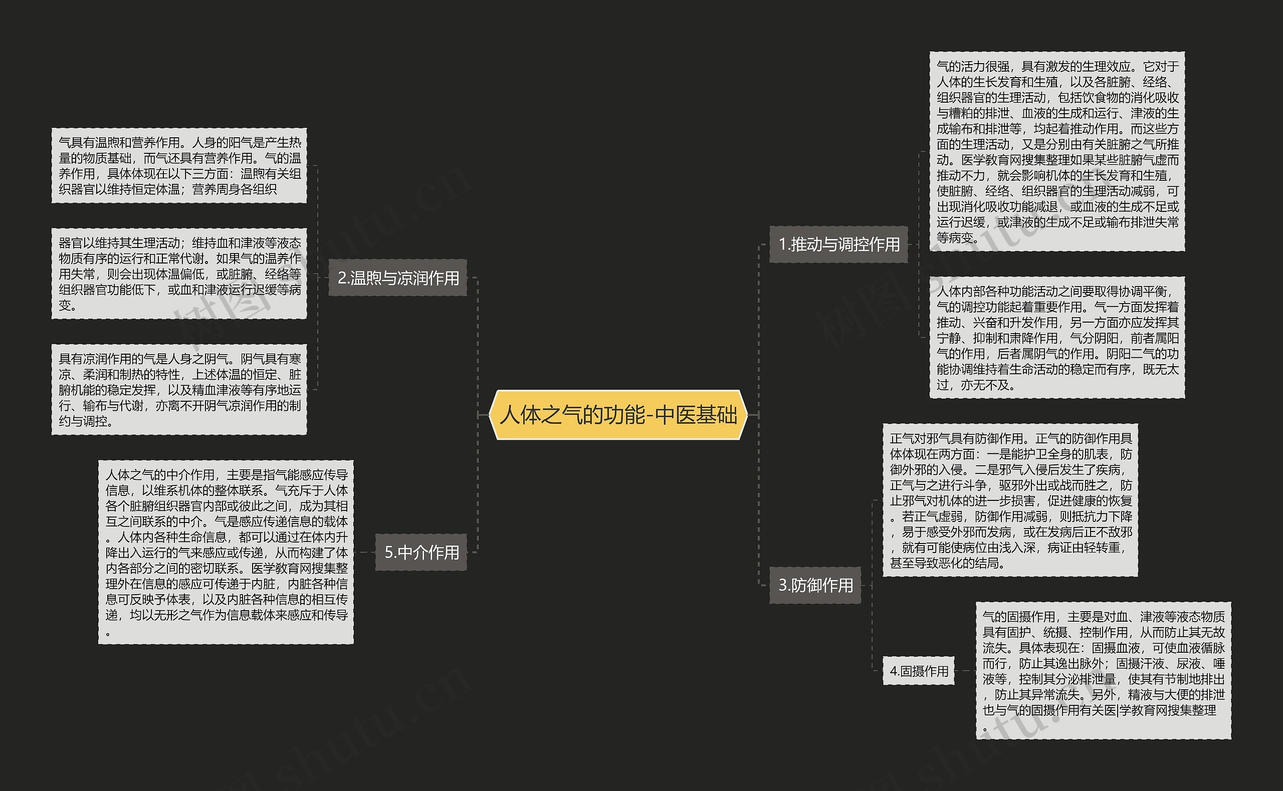 人体之气的功能-中医基础思维导图