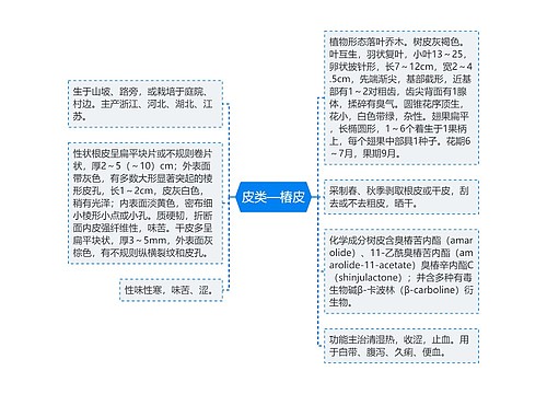 皮类—椿皮