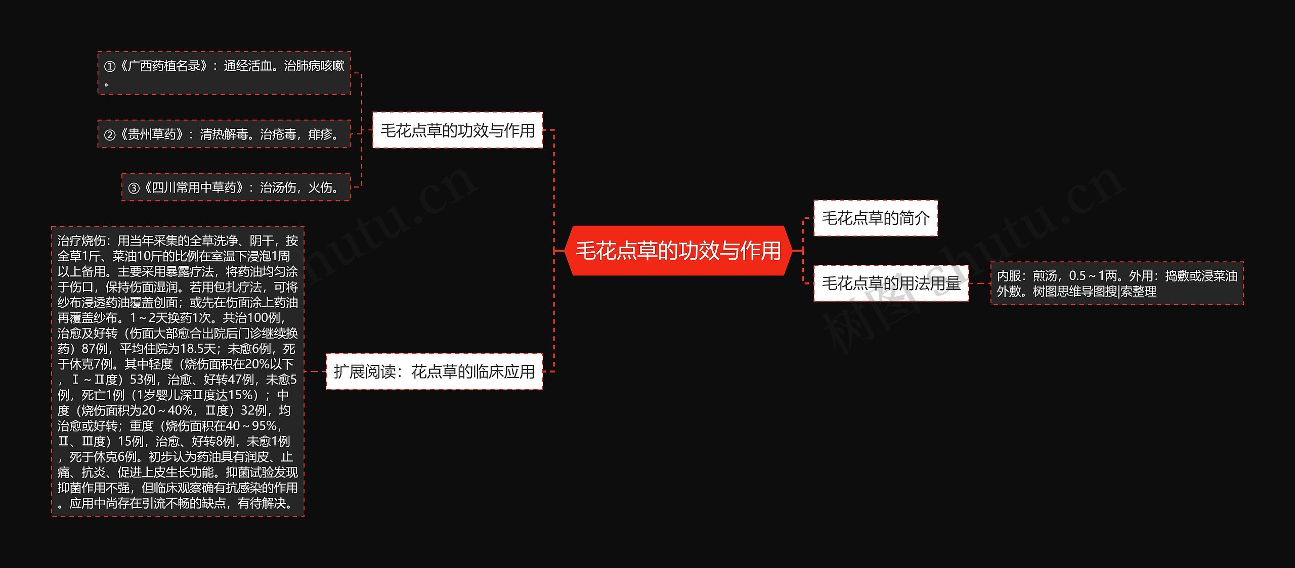 毛花点草的功效与作用 毛花点草的功效与作用