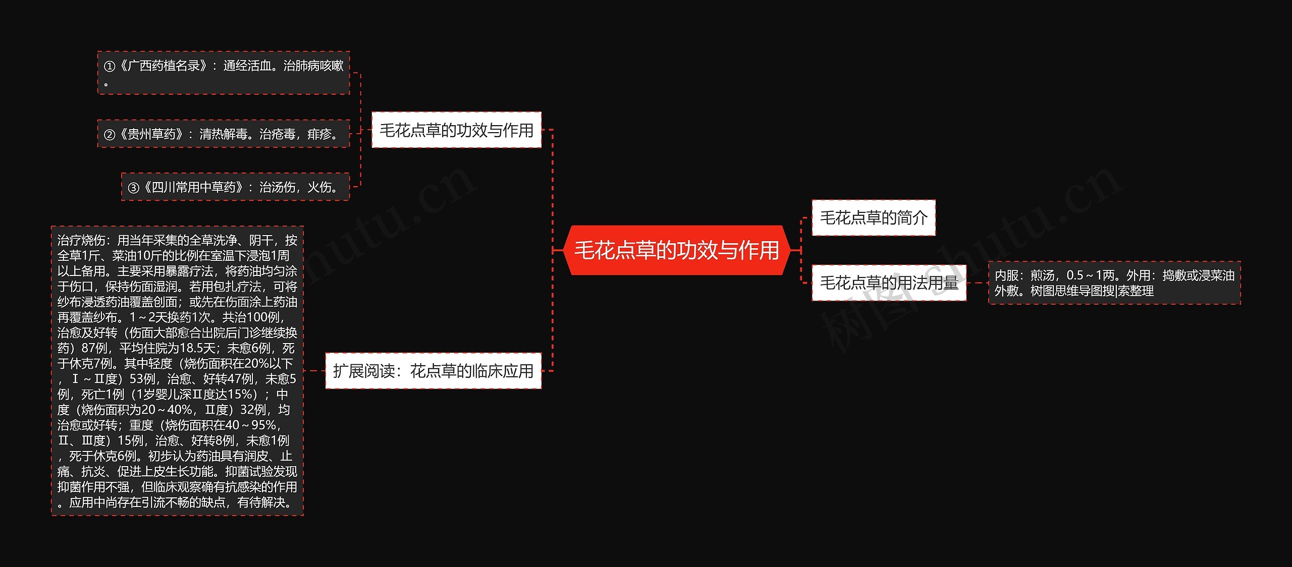 毛花点草的功效与作用思维导图