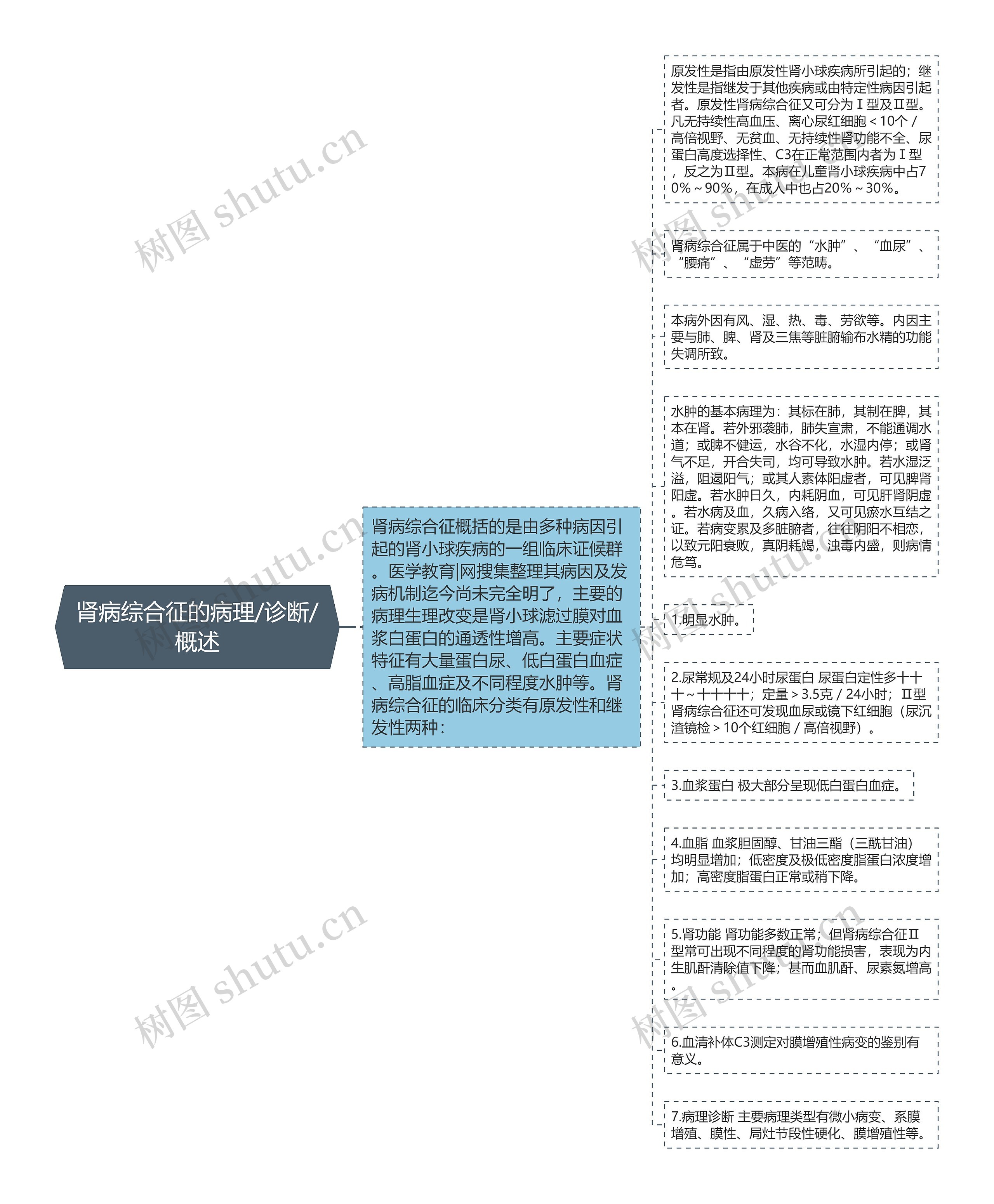 肾病综合征的病理/诊断/概述思维导图