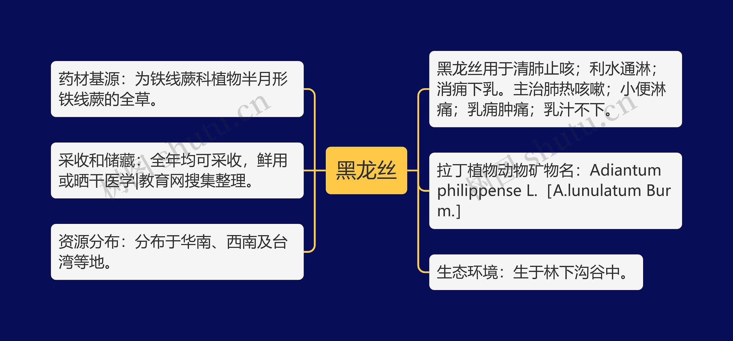 黑龙丝思维导图