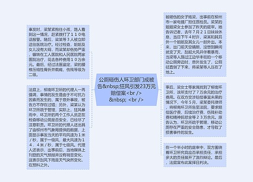 公厕砸伤人环卫部门成被告&nbsp;狂风引发23万元赔偿案<br />
&nbsp; <br />