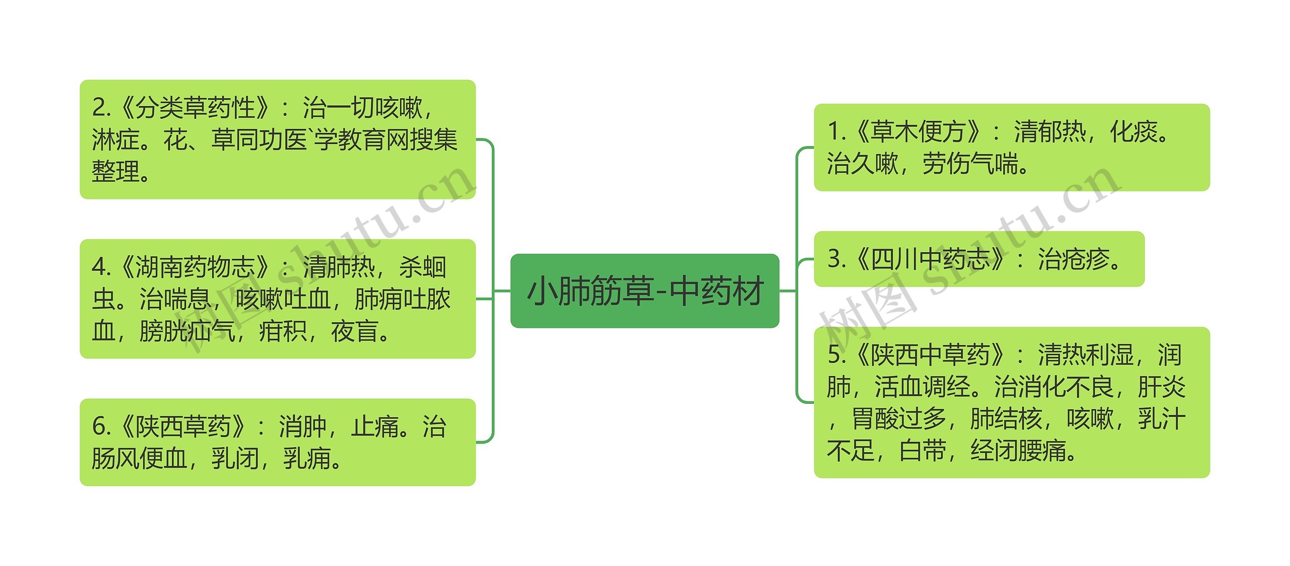 小肺筋草-中药材思维导图