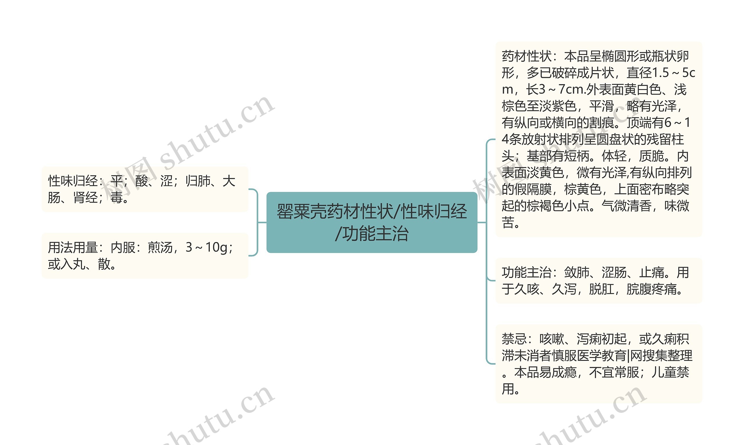 罂粟壳药材性状/性味归经/功能主治 罂粟壳药材性状/性味归经/功能主治