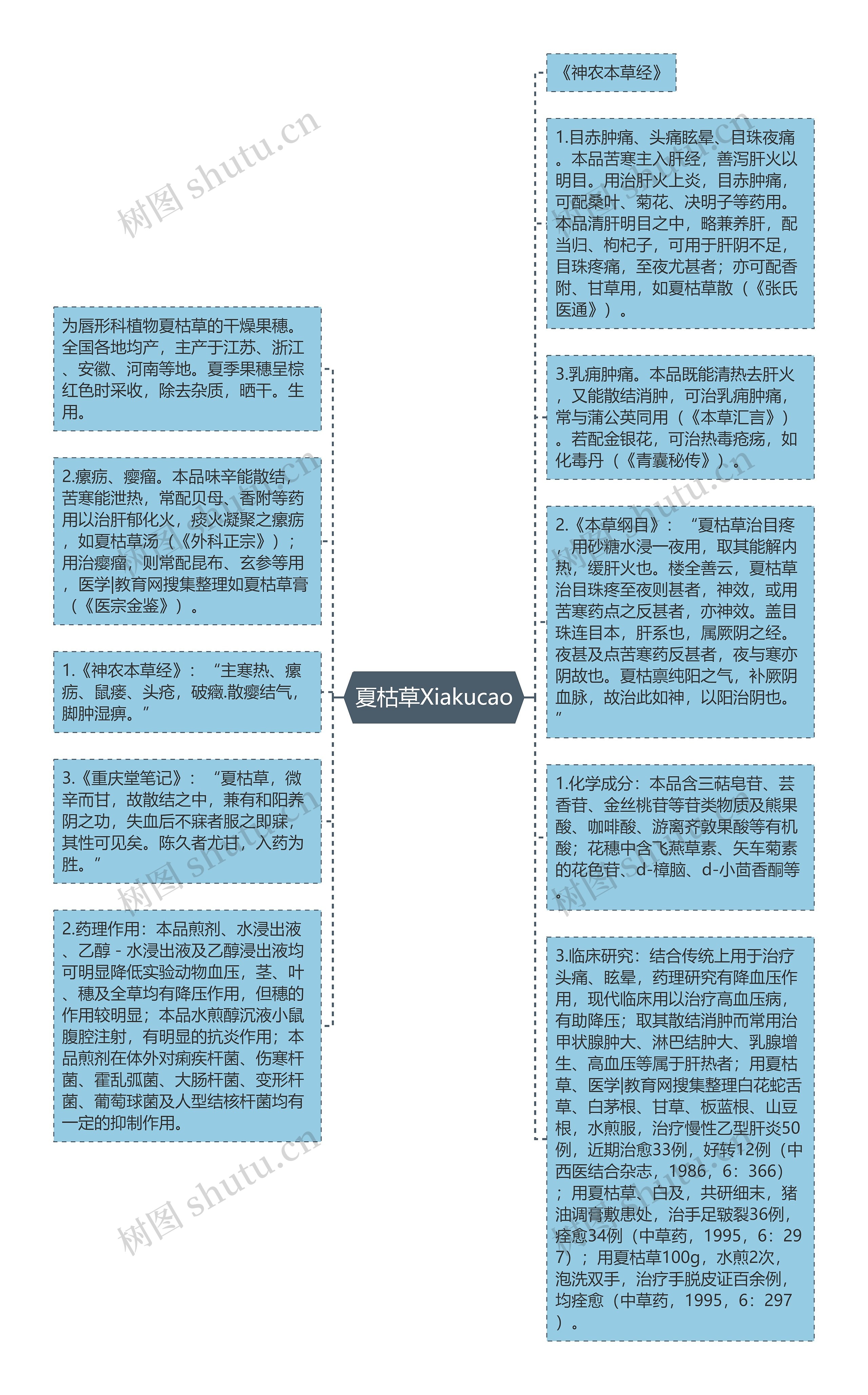 夏枯草Xiakucao思维导图