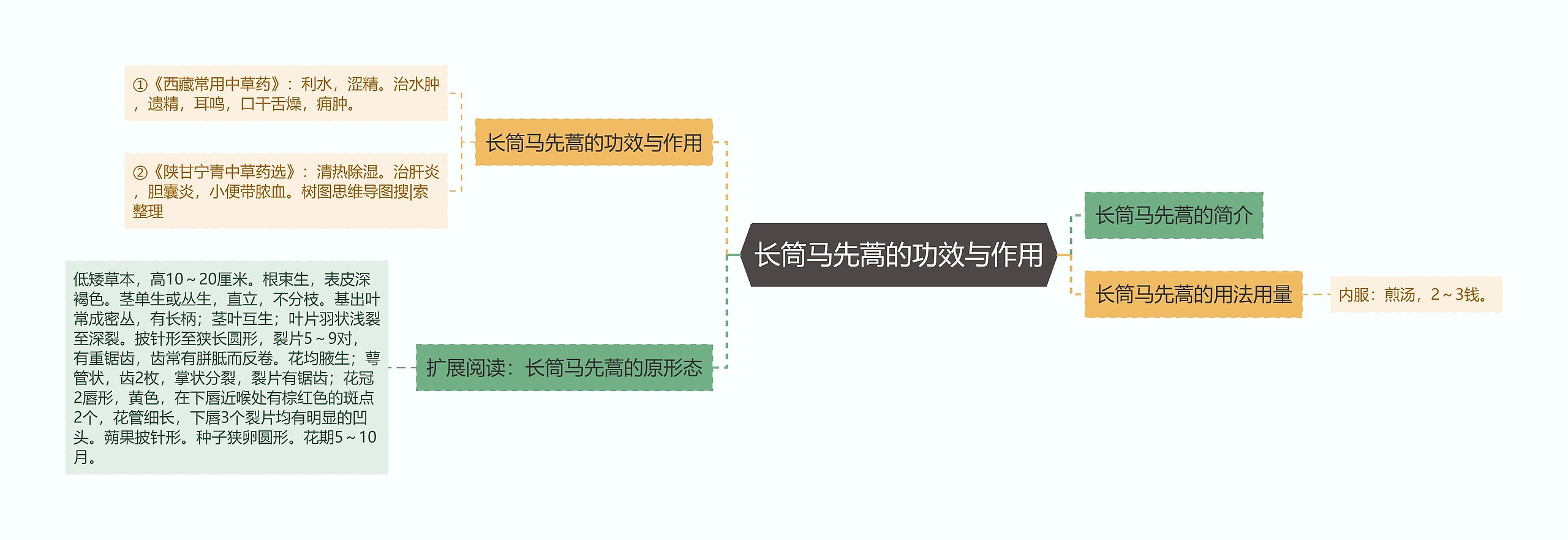 长筒马先蒿的功效与作用思维导图