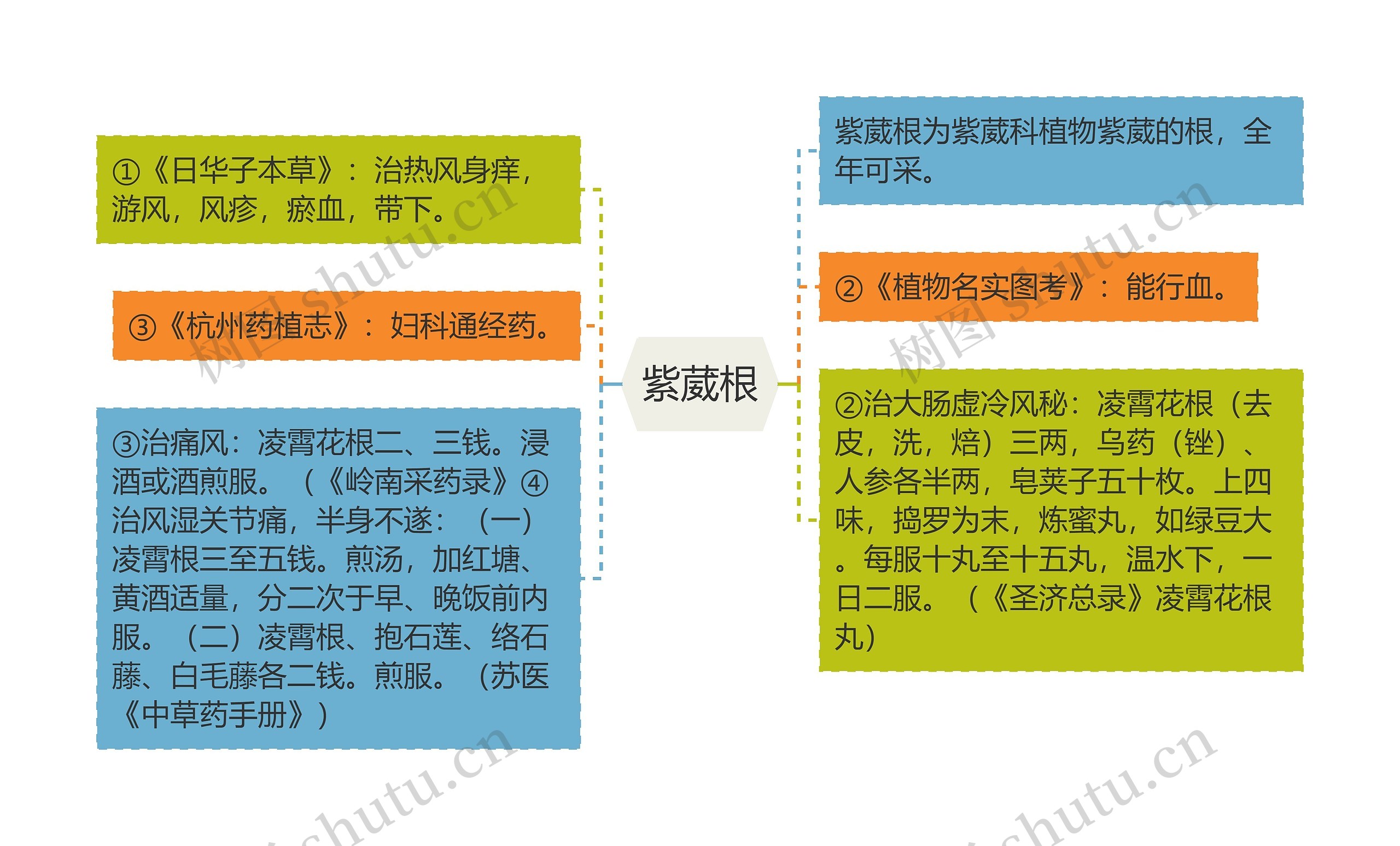 紫葳根思维导图