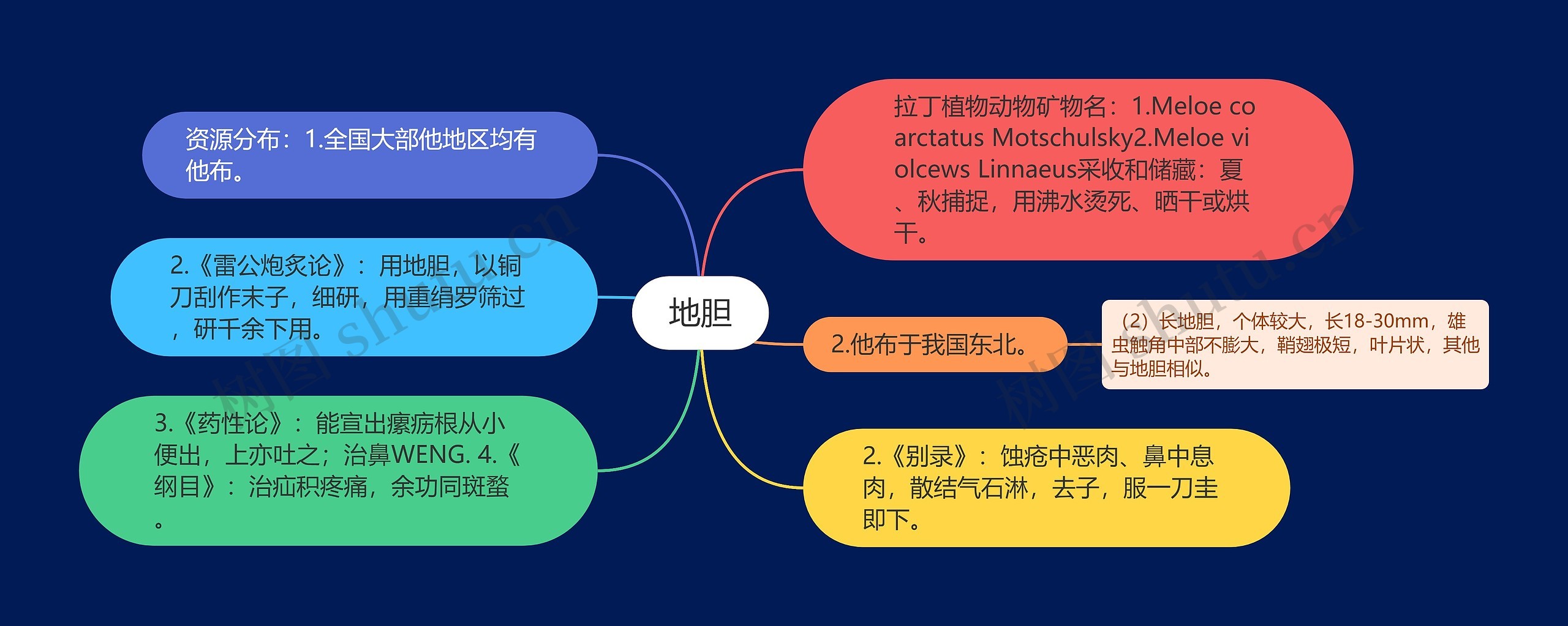 地胆思维导图