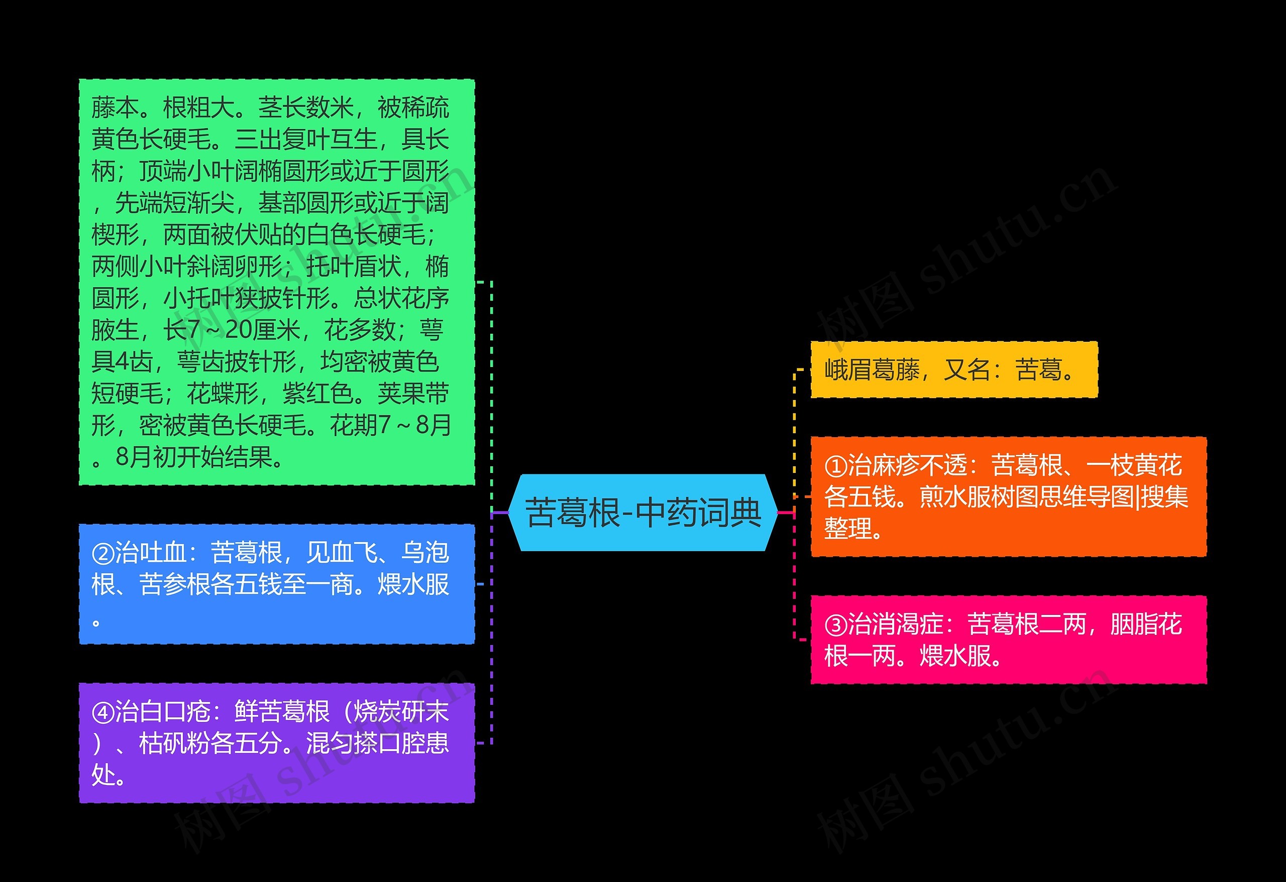 苦葛根-中药词典思维导图