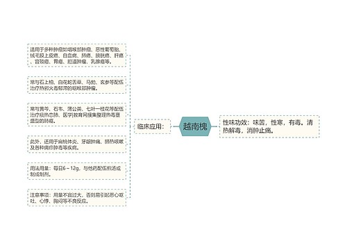 越南槐