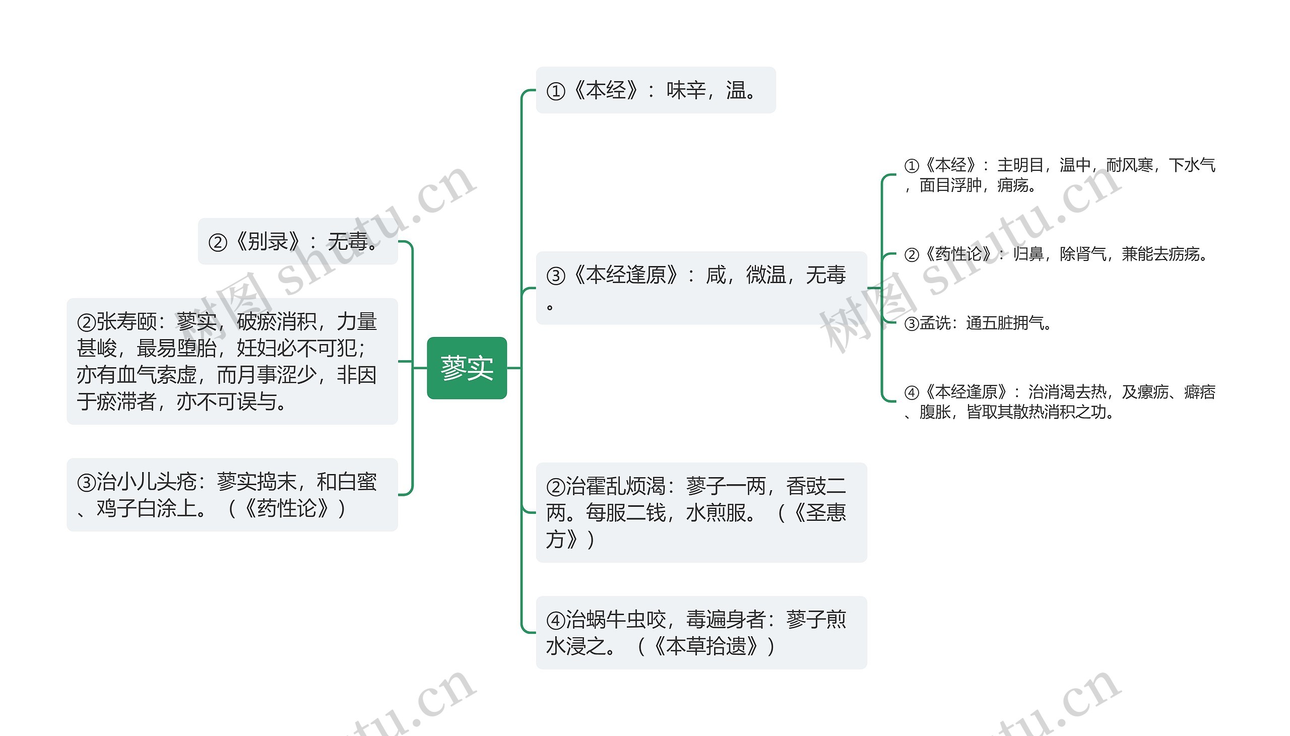 蓼实思维导图