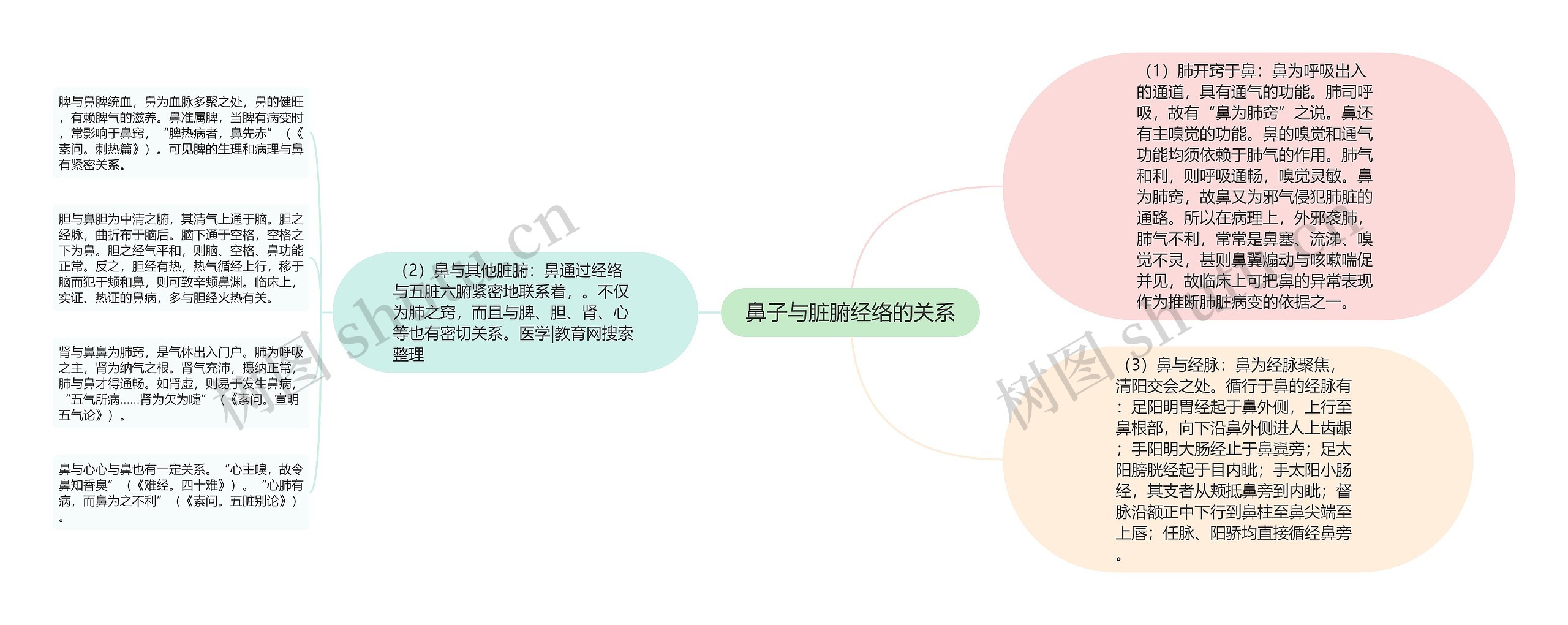 鼻子与脏腑经络的关系