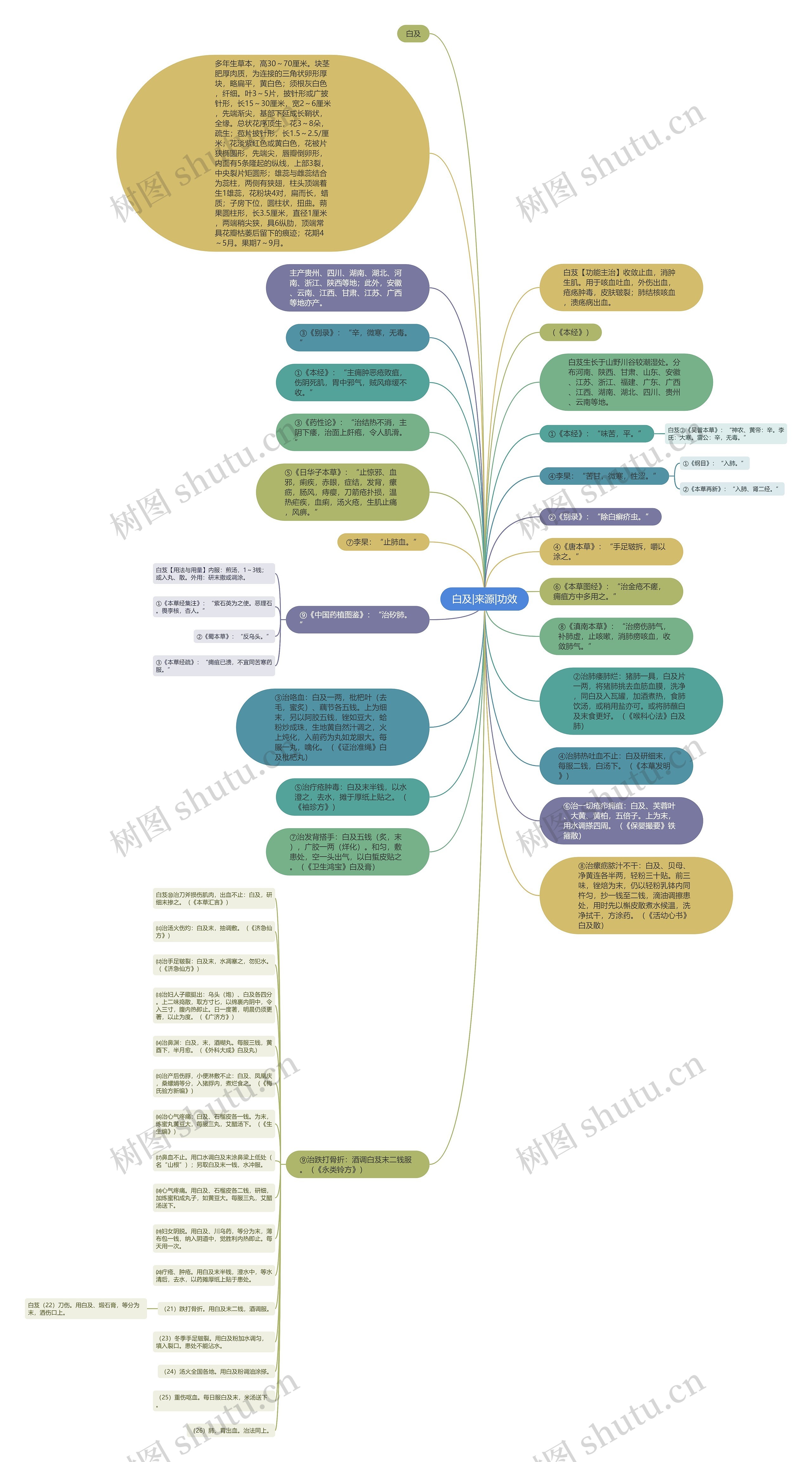 白及|来源|功效思维导图