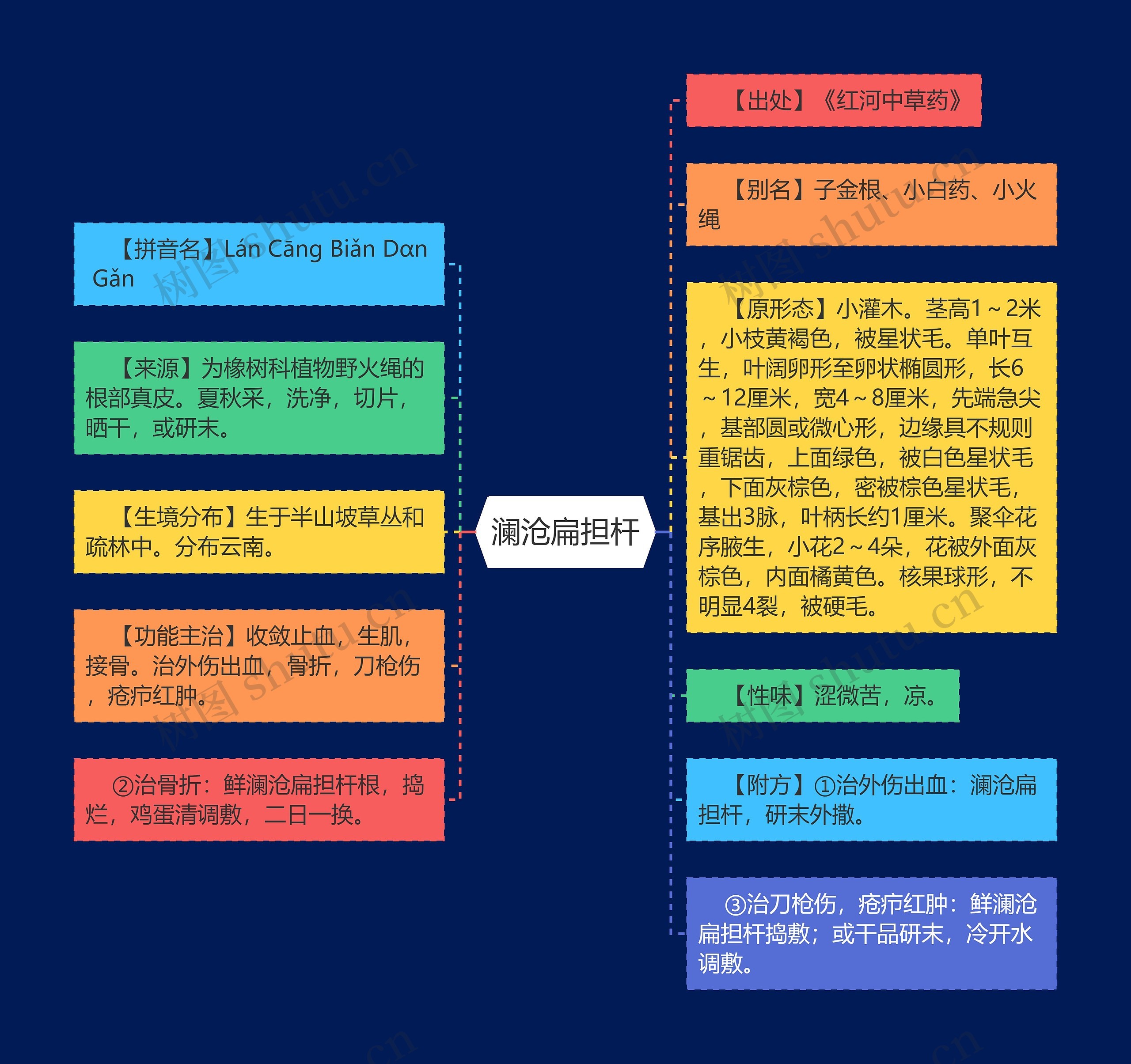 澜沧扁担杆 澜沧扁担杆