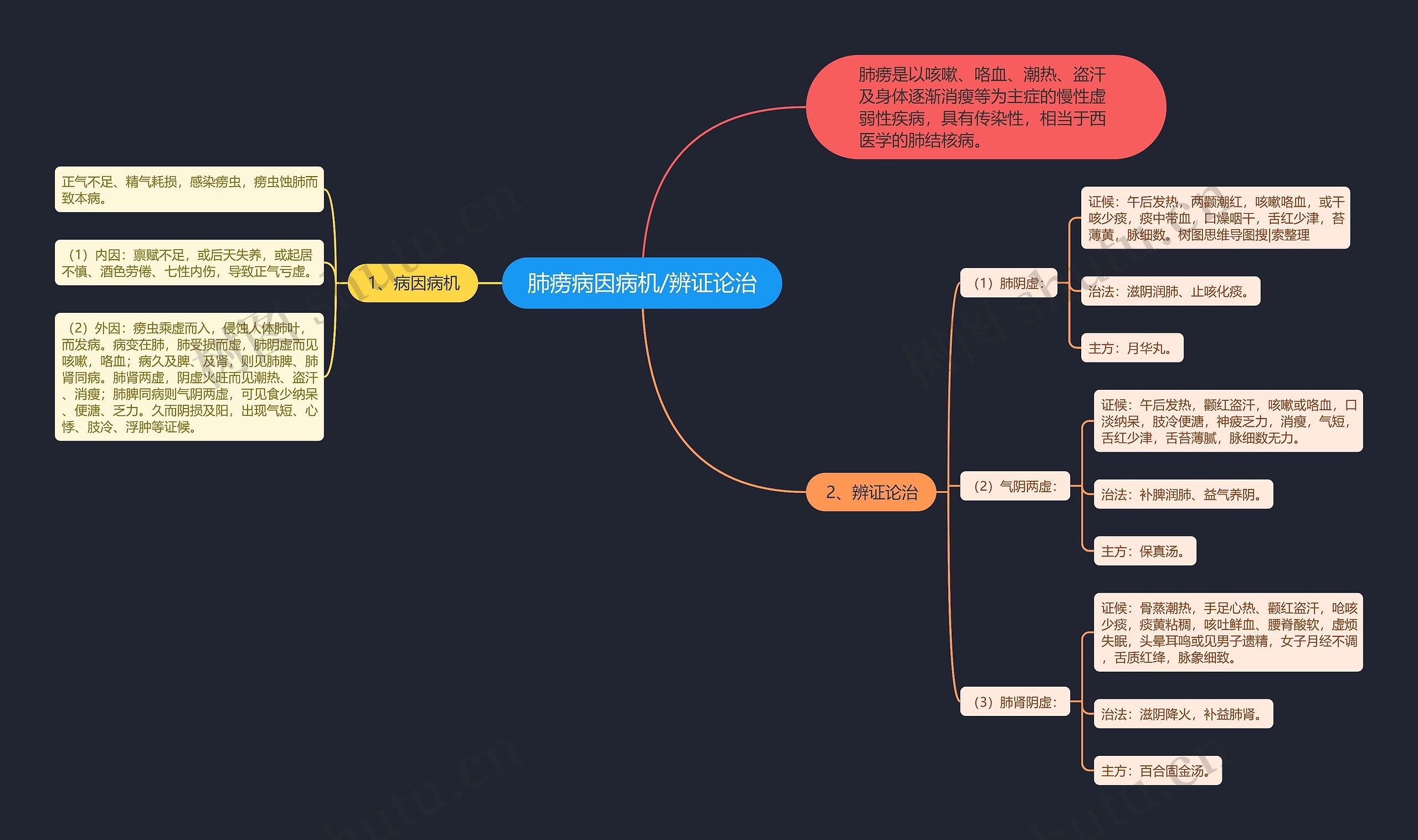 肺痨病因病机/辨证论治思维导图