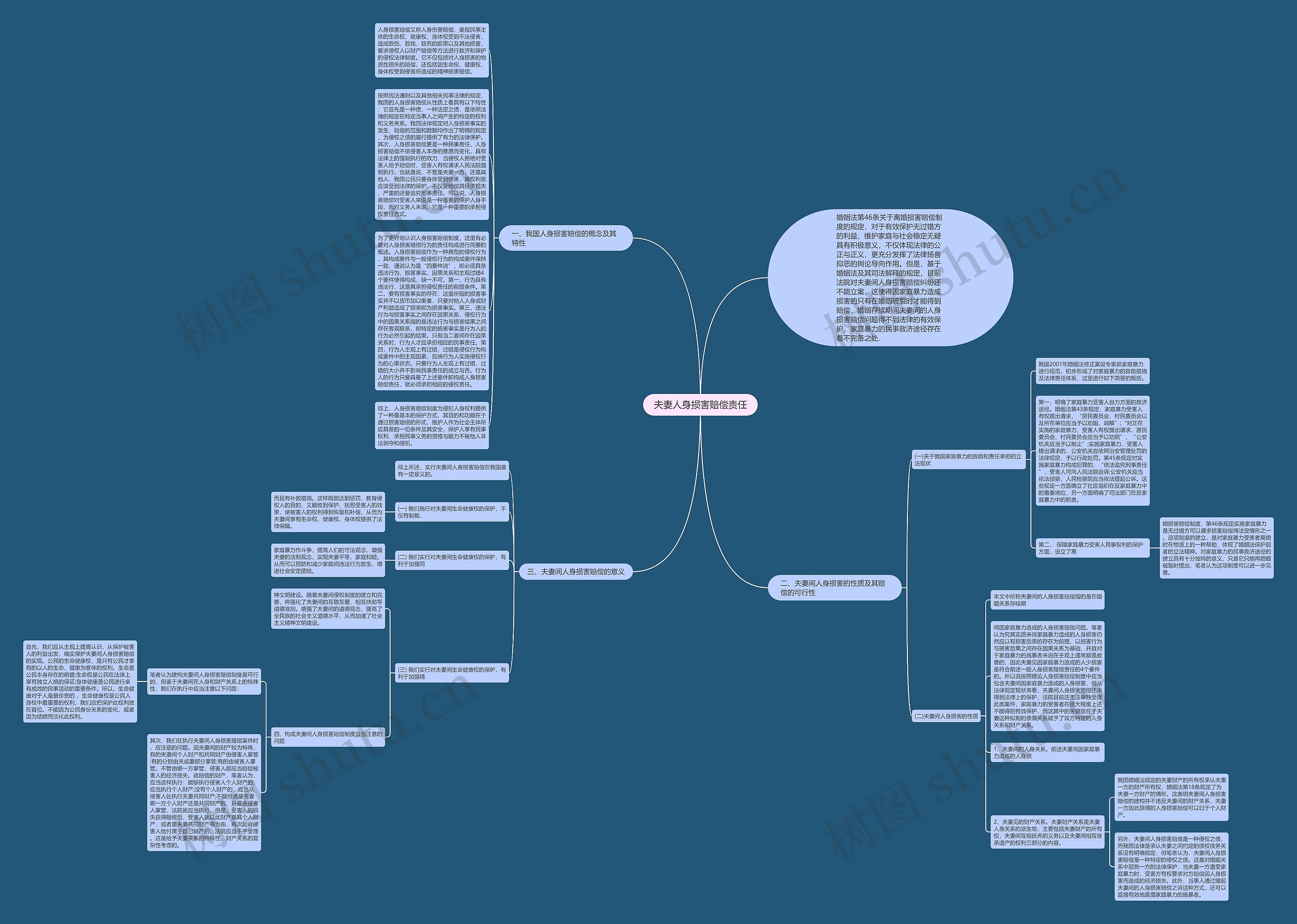 夫妻人身损害赔偿责任思维导图