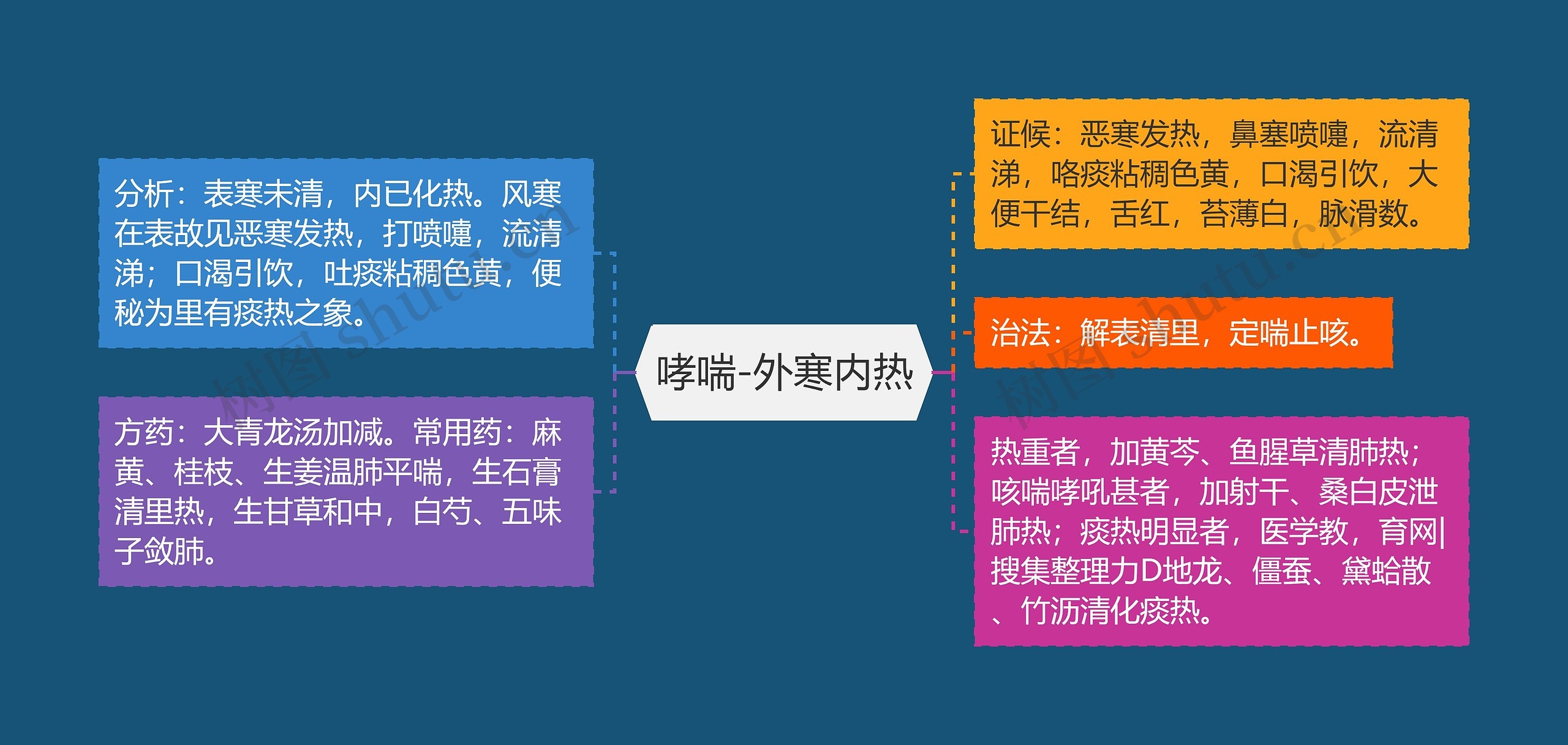 哮喘-外寒内热 哮喘-外寒内热