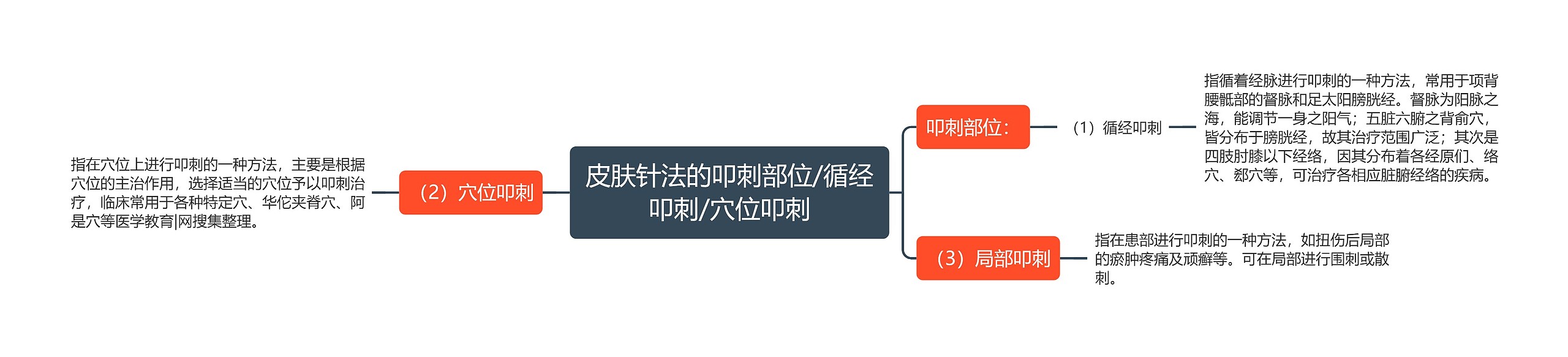 皮肤针法的叩刺部位/循经叩刺/穴位叩刺 皮肤针法的叩刺部位/循经叩刺/穴位叩刺