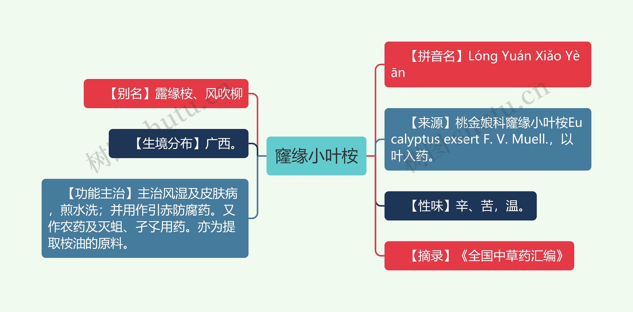 窿缘小叶桉思维导图