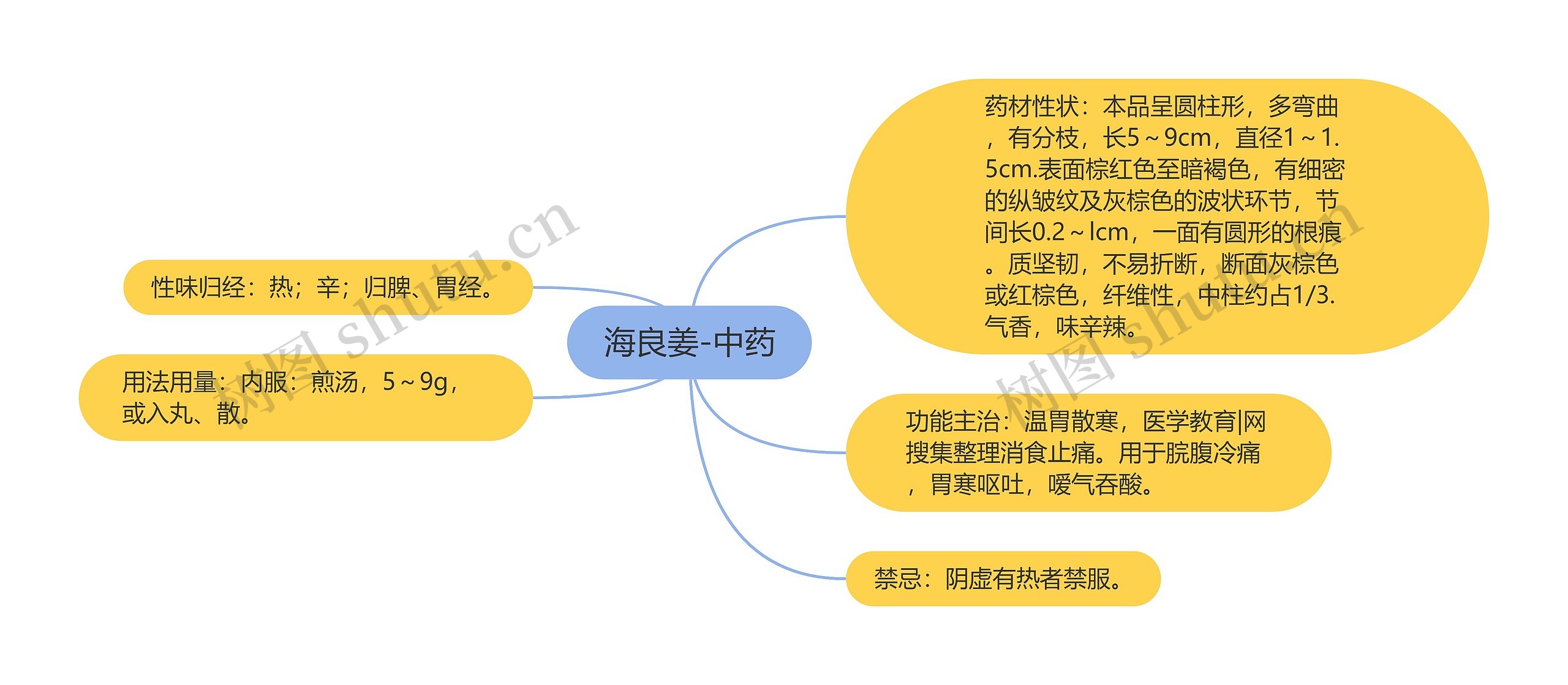 海良姜-中药思维导图