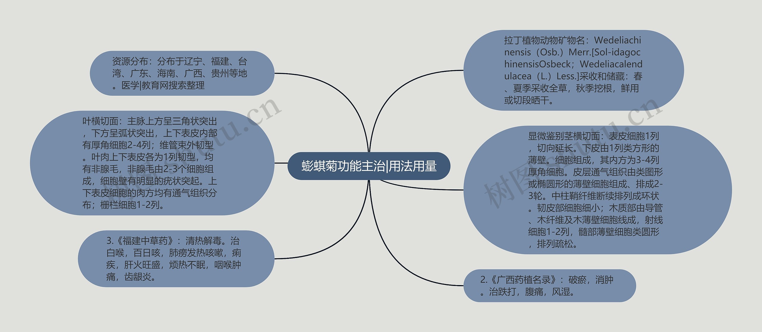 蟛蜞菊功能主治|用法用量思维导图