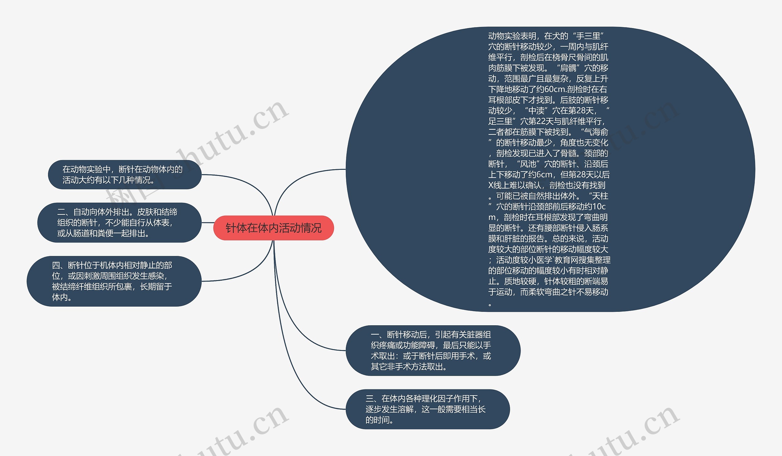 针体在体内活动情况思维导图