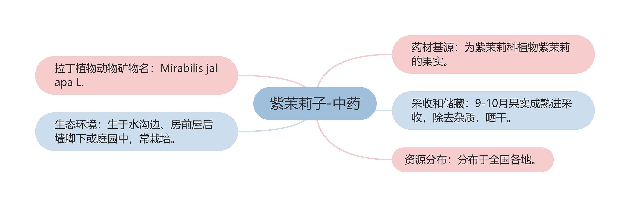 紫茉莉子-中药思维导图