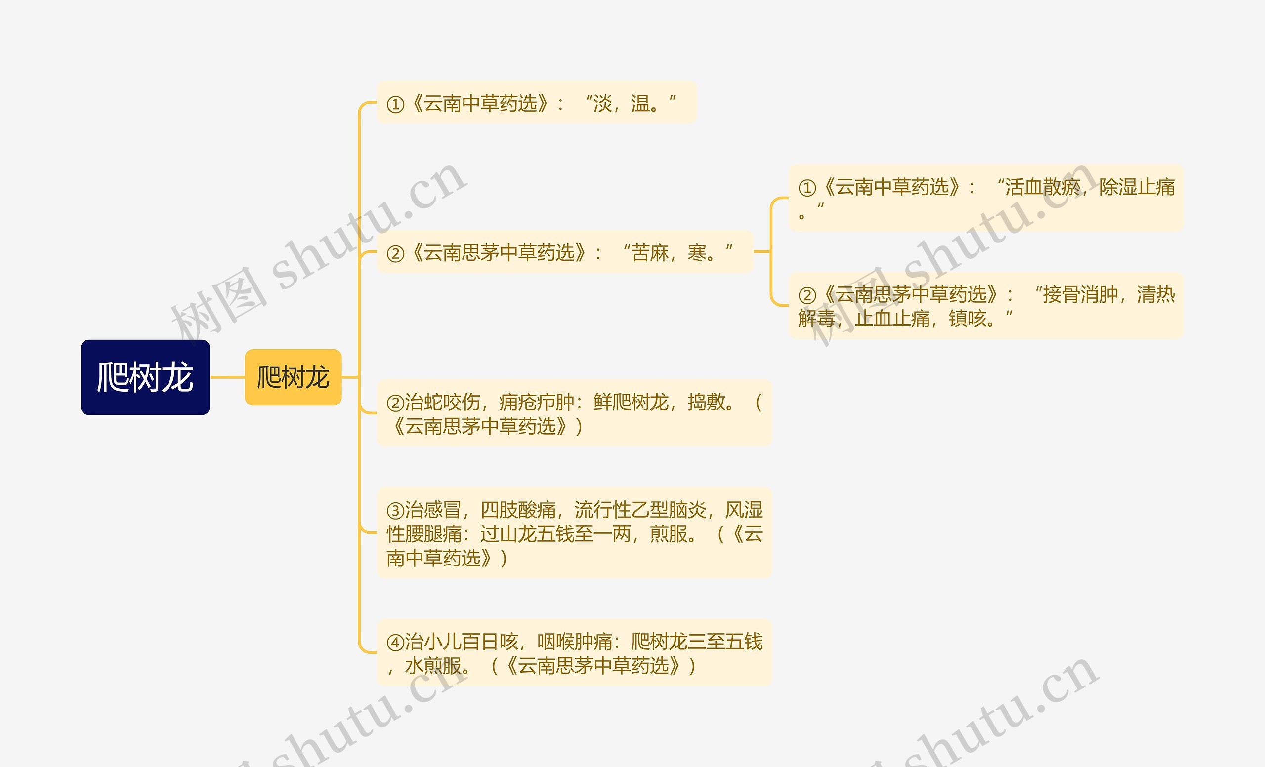 爬树龙思维导图