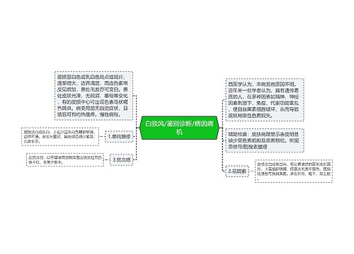 白驳风/鉴别诊断/病因病机