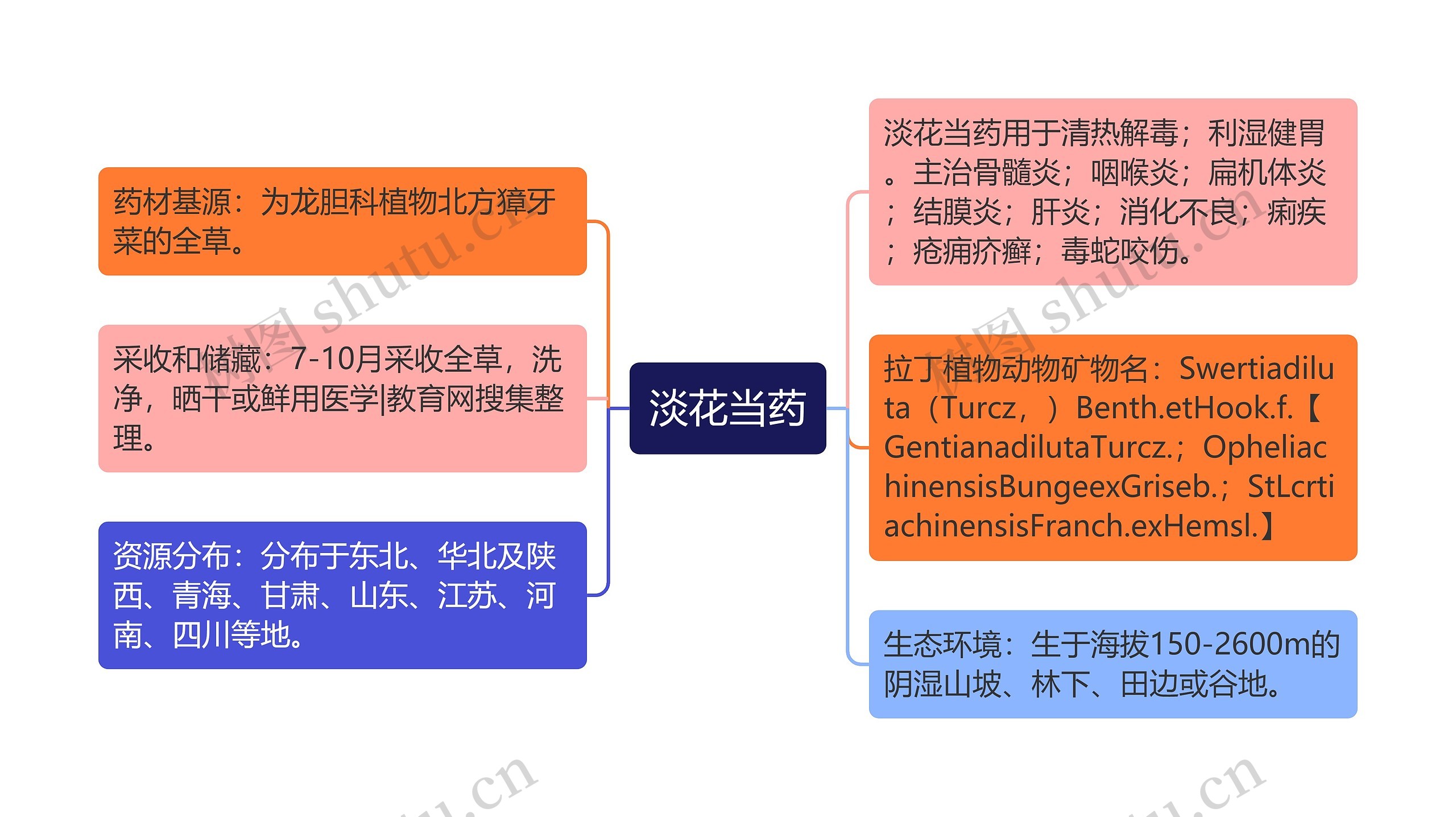 淡花当药思维导图