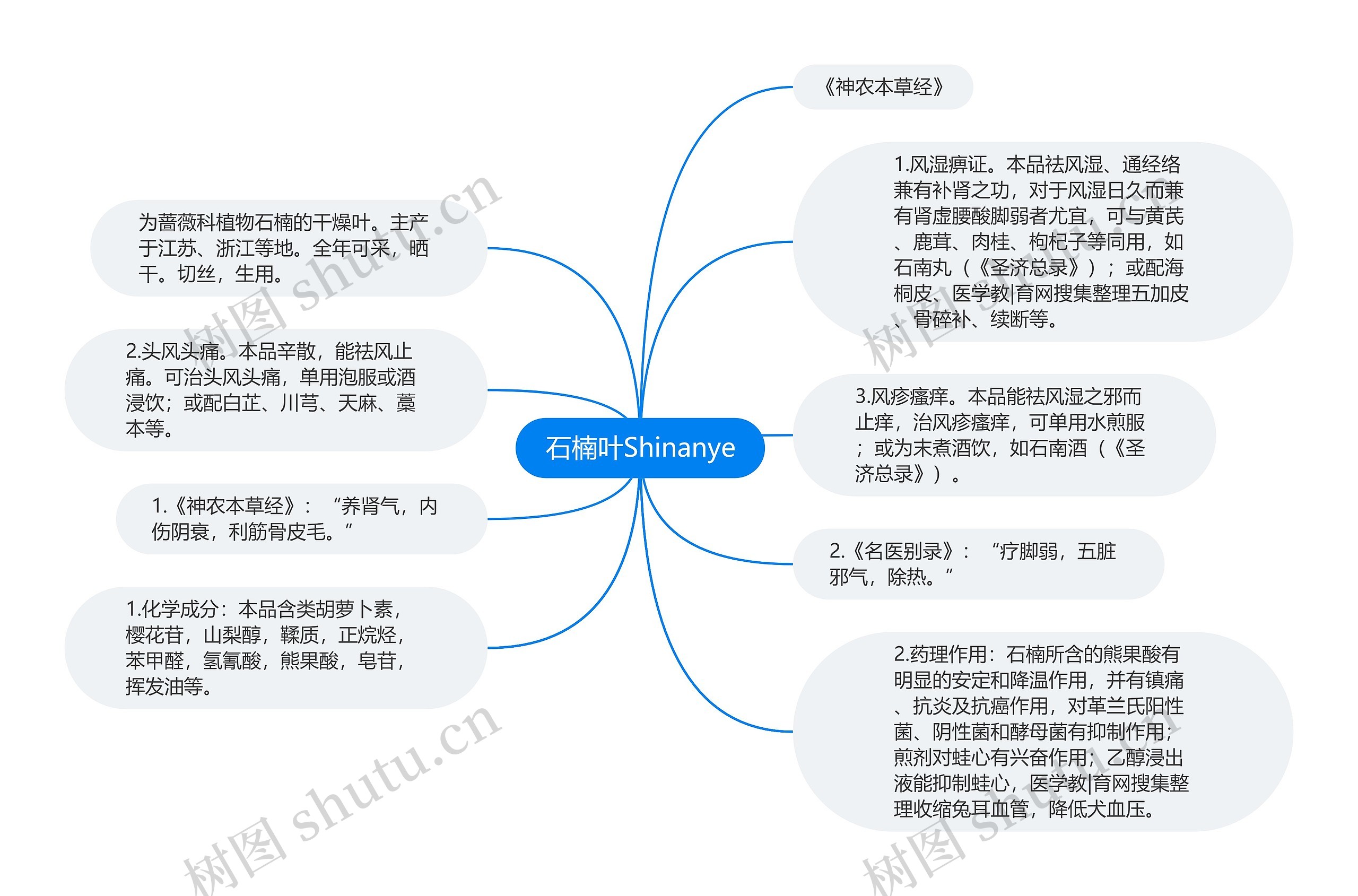 石楠叶Shinanye思维导图