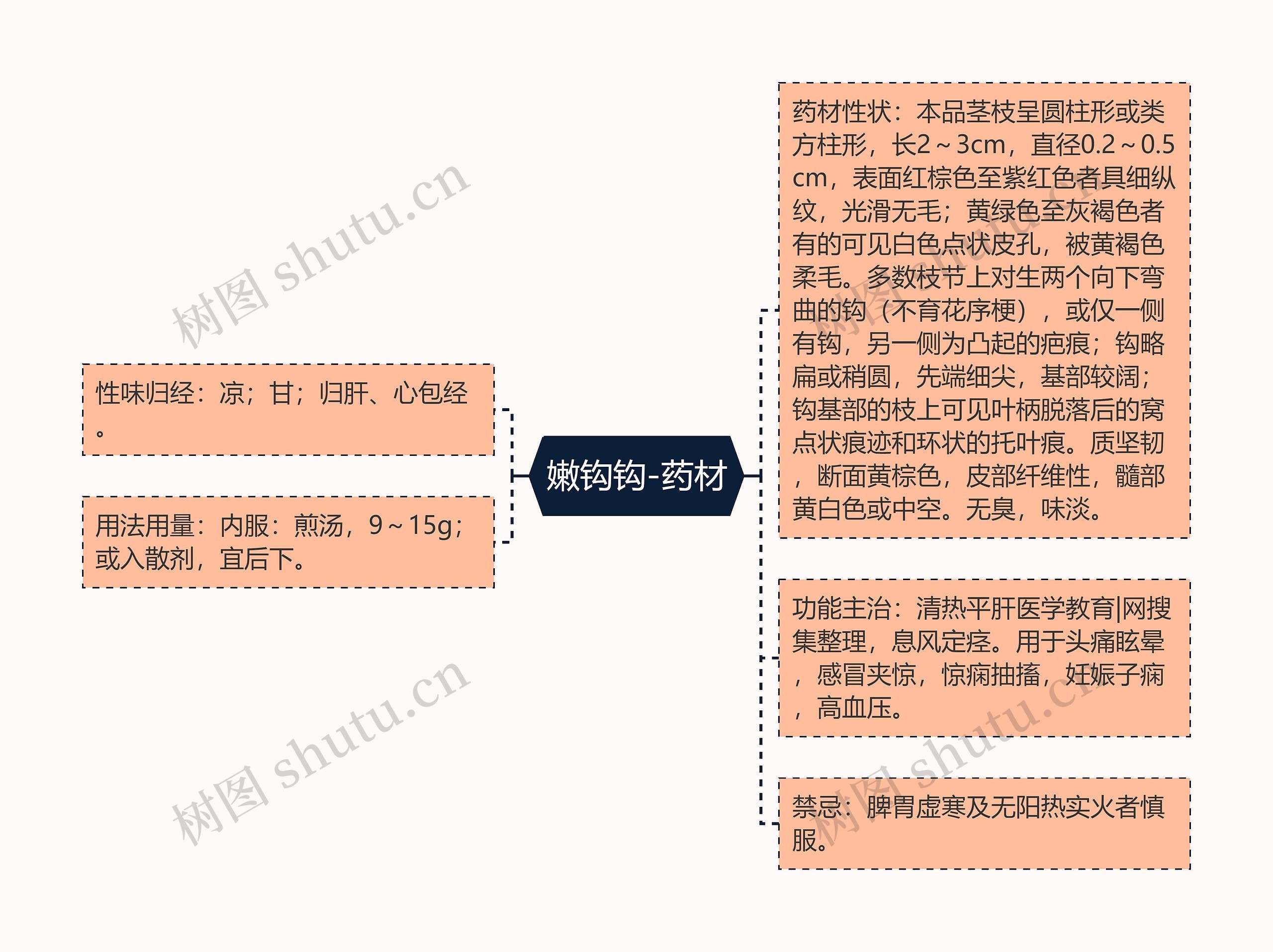 嫩钩钩-药材思维导图