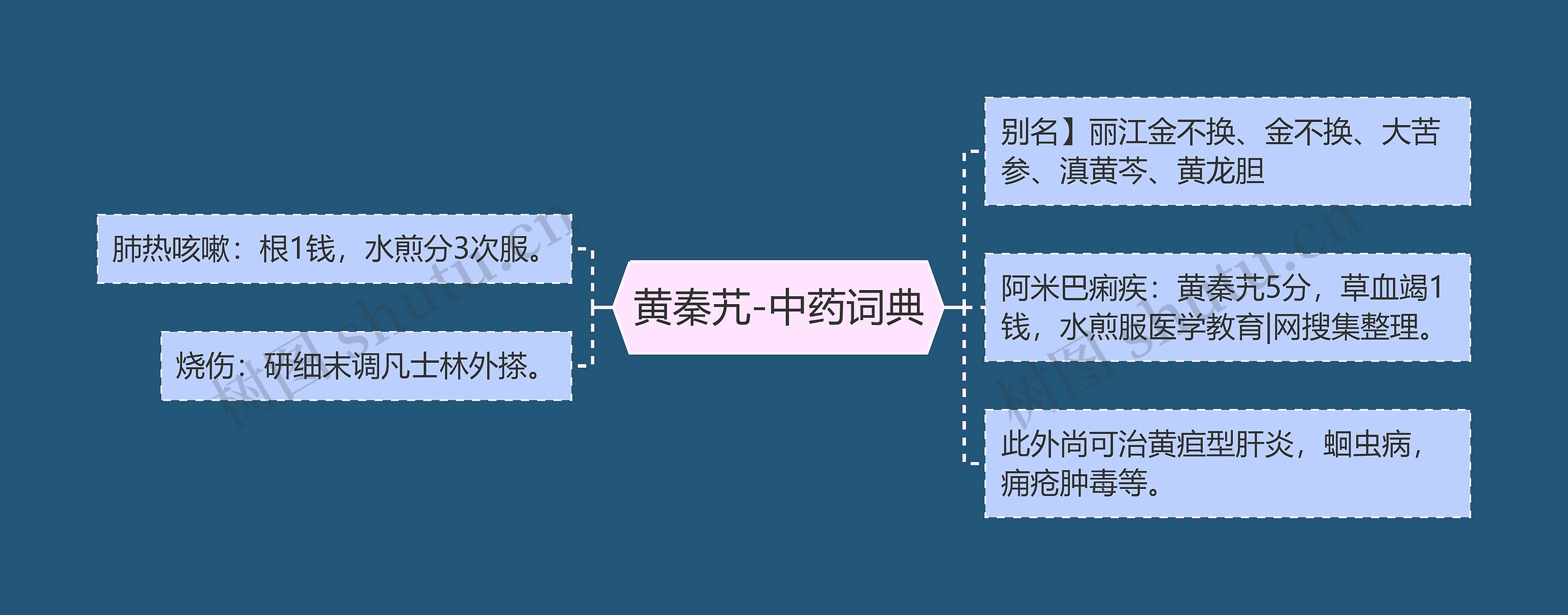 黄秦艽-中药词典思维导图