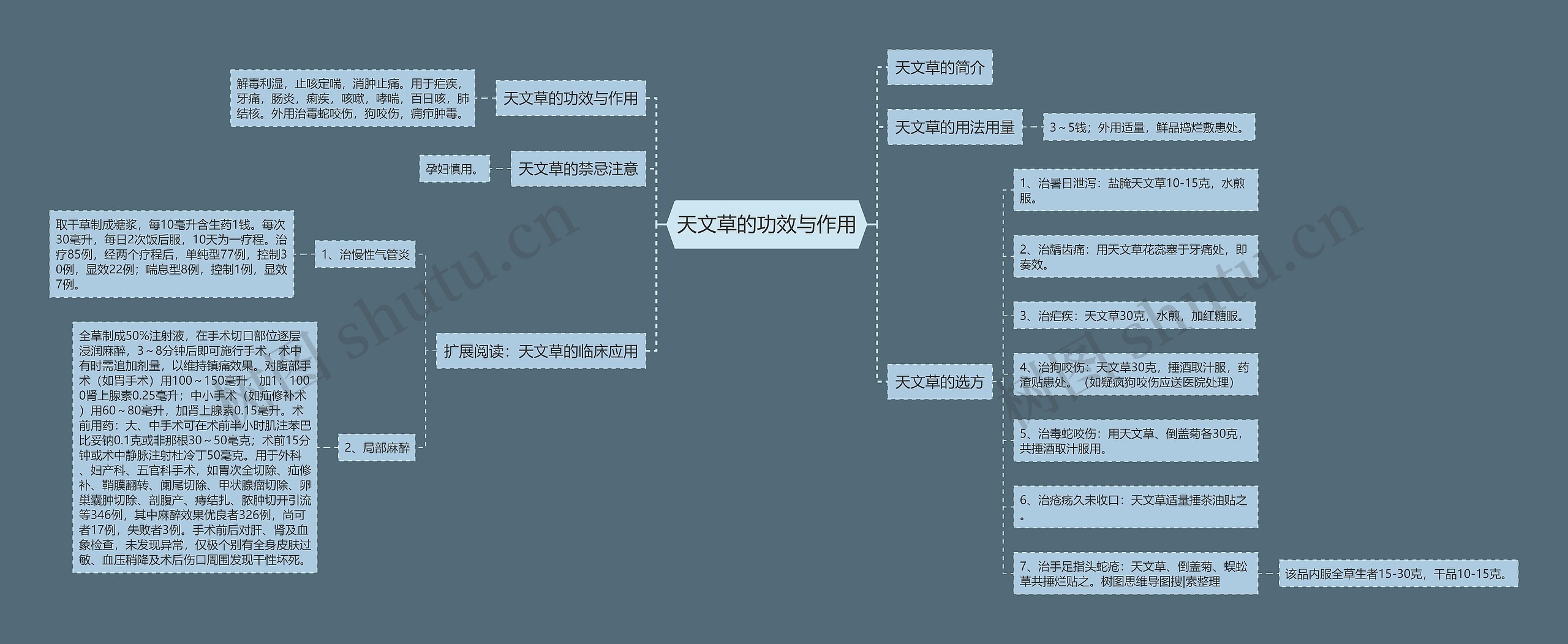 天文草的功效与作用 天文草的功效与作用