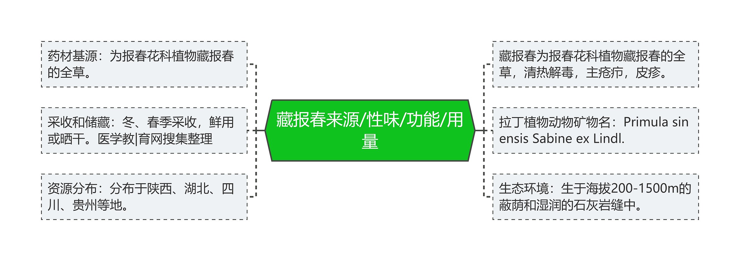 藏报春来源/性味/功能/用量 藏报春来源/性味/功能/用量