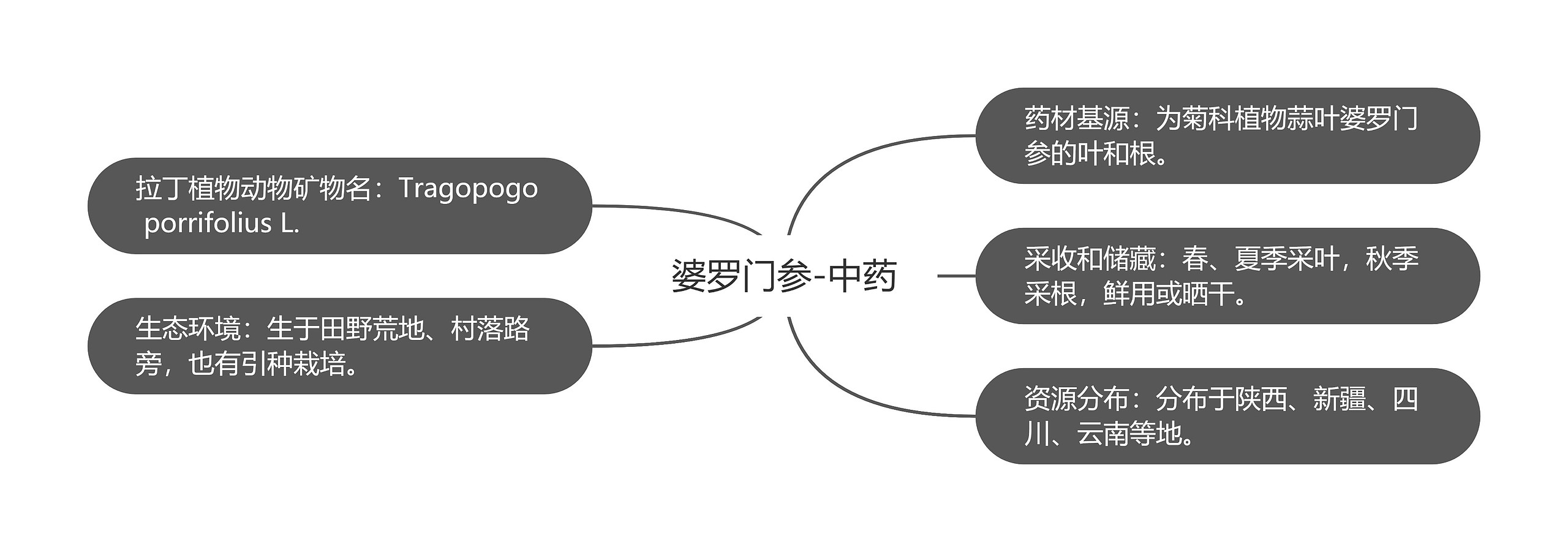 婆罗门参-中药思维导图