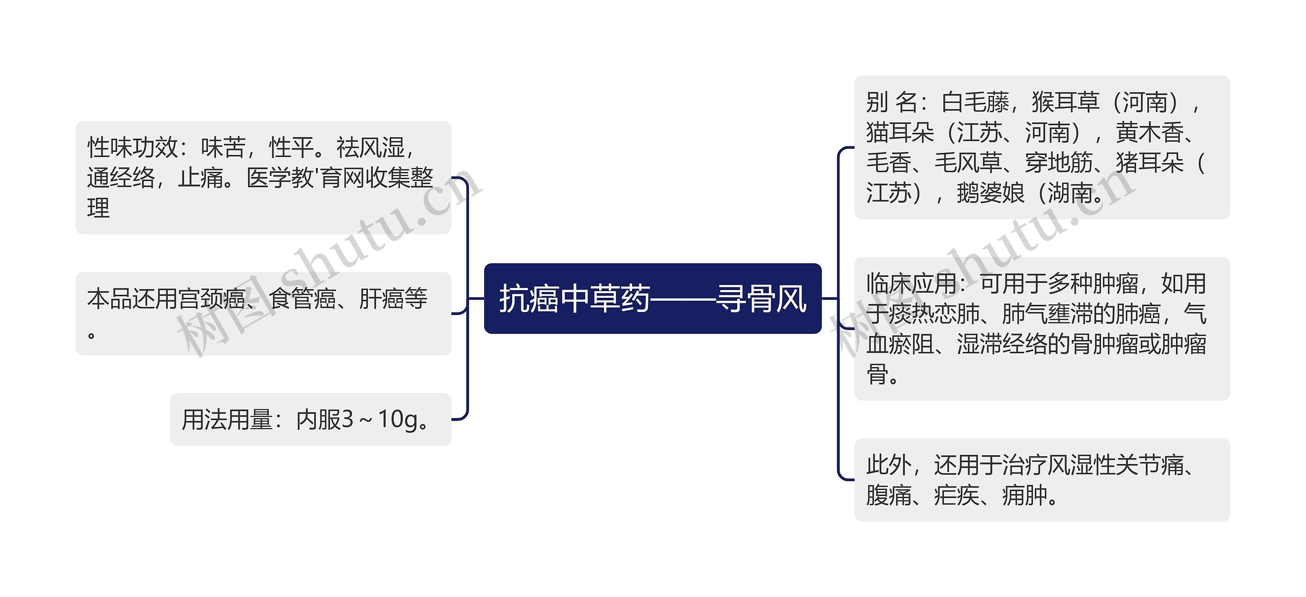 抗癌中草药——寻骨风