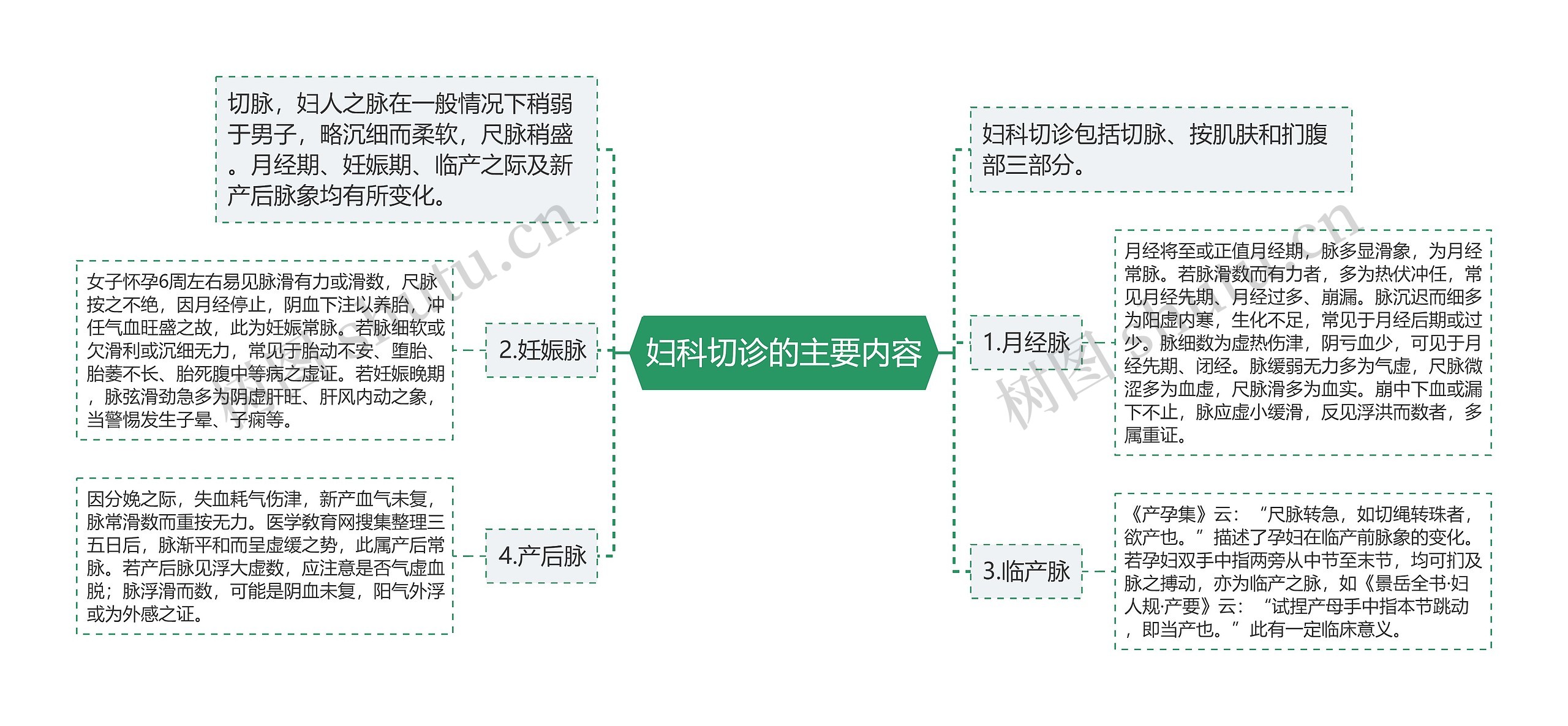 妇科切诊的主要内容思维导图