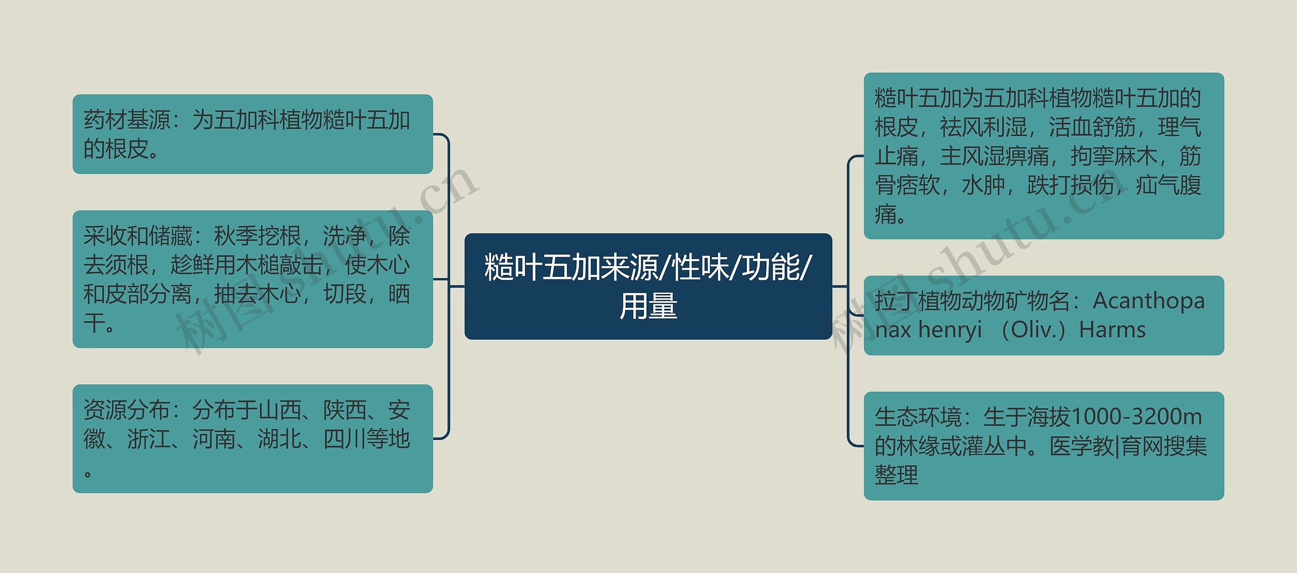 糙叶五加来源/性味/功能/用量思维导图