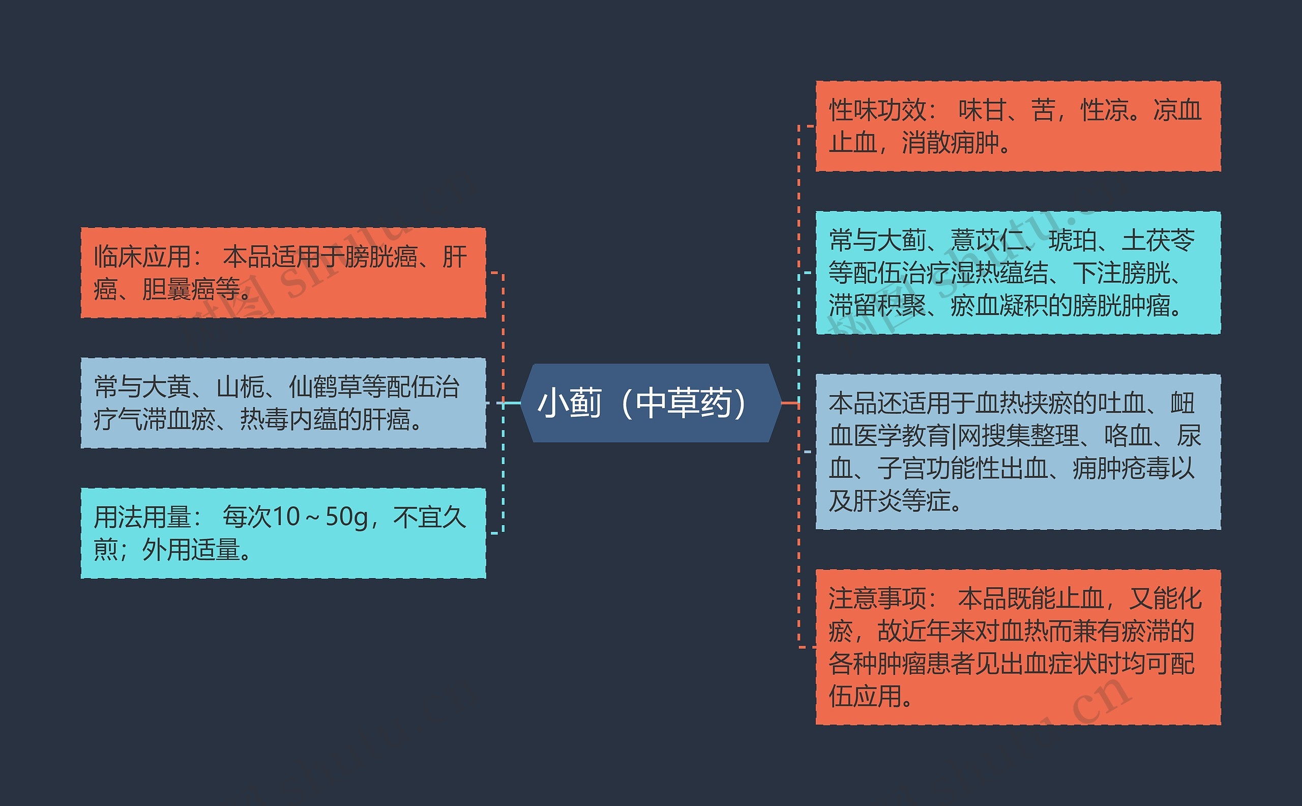 小蓟(中草药) 小蓟(中草药)