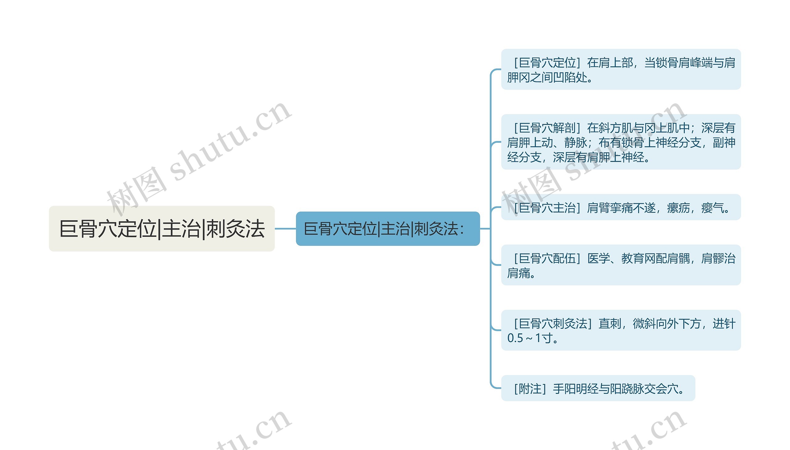 巨骨穴定位|主治|刺灸法