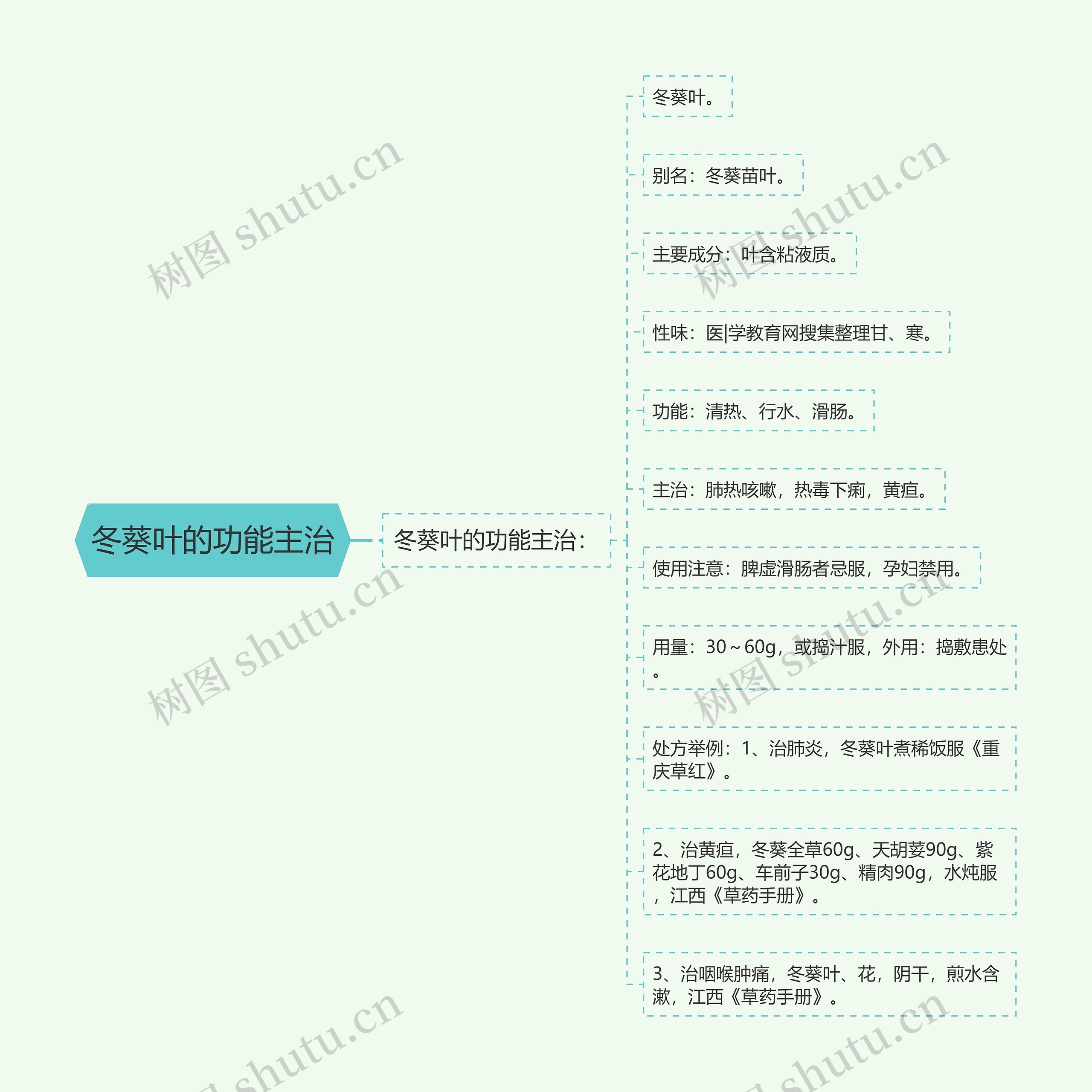 冬葵叶的功能主治思维导图