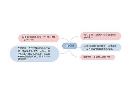 白粉蝶