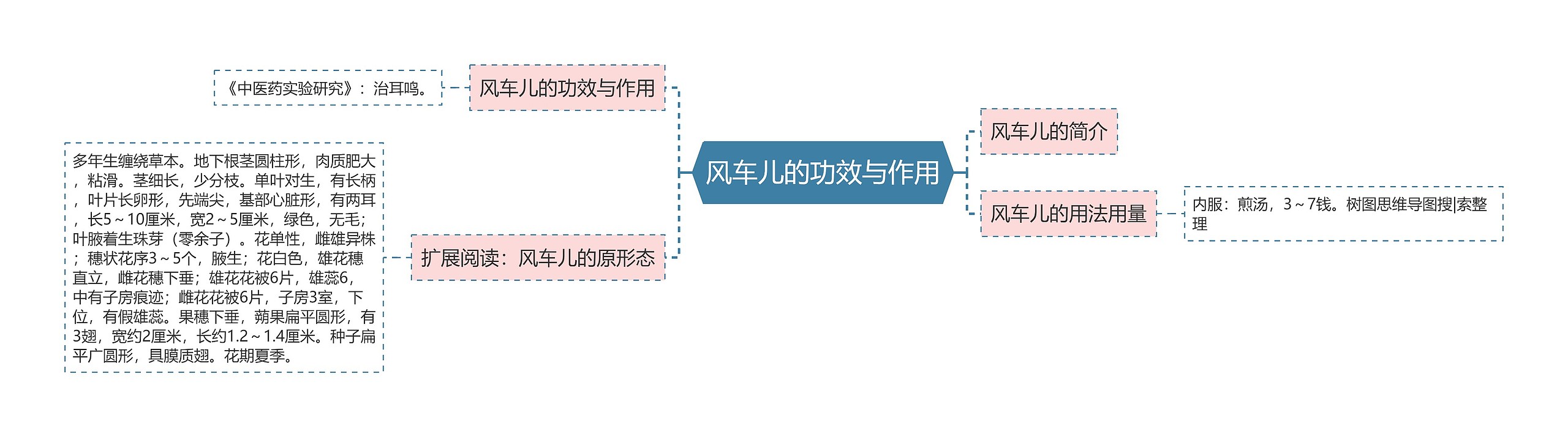 风车儿的功效与作用思维导图