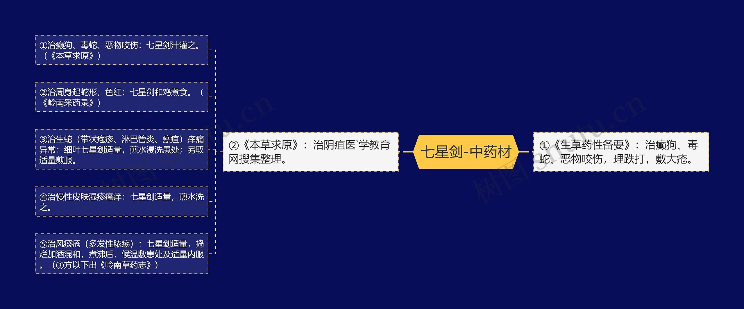 七星剑-中药材 七星剑-中药材