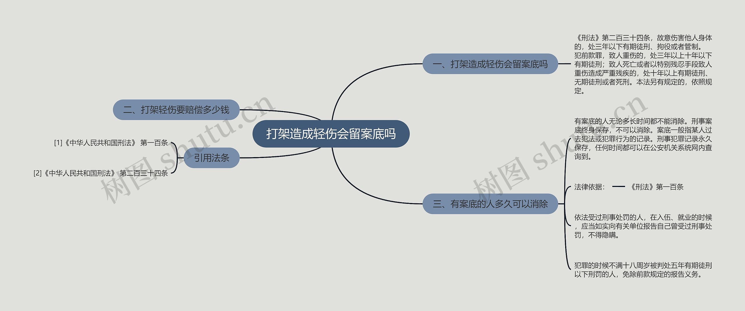 打架造成轻伤会留案底吗思维导图