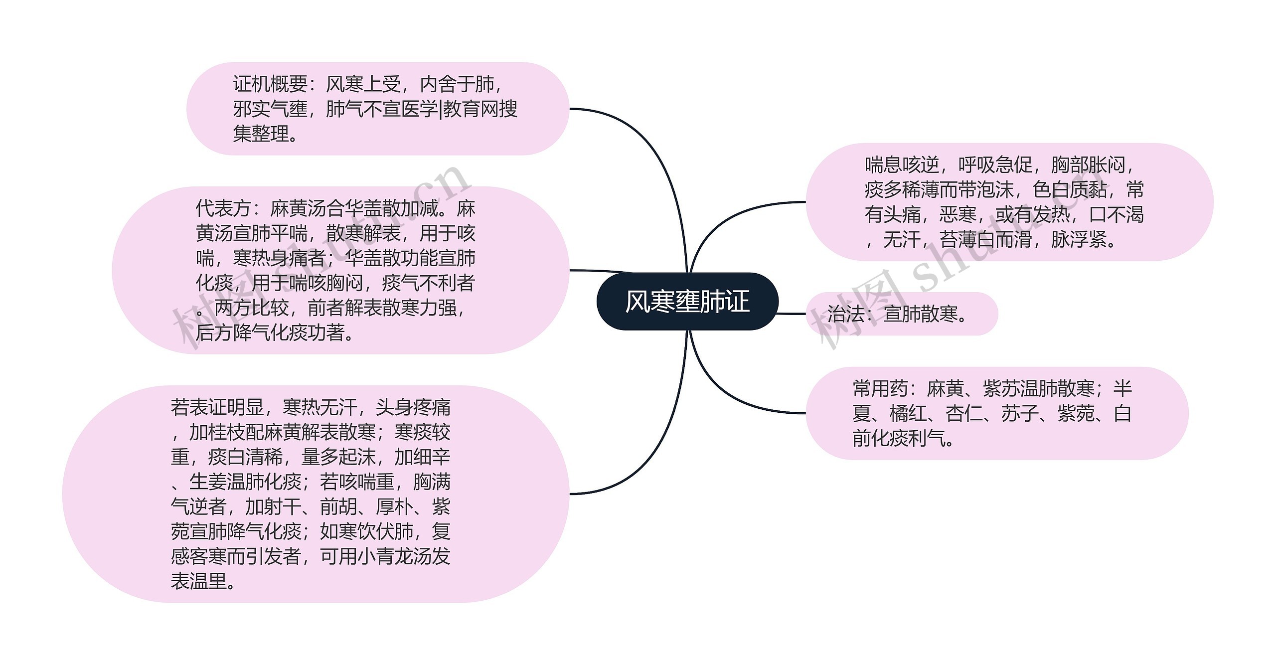 风寒壅肺证思维导图